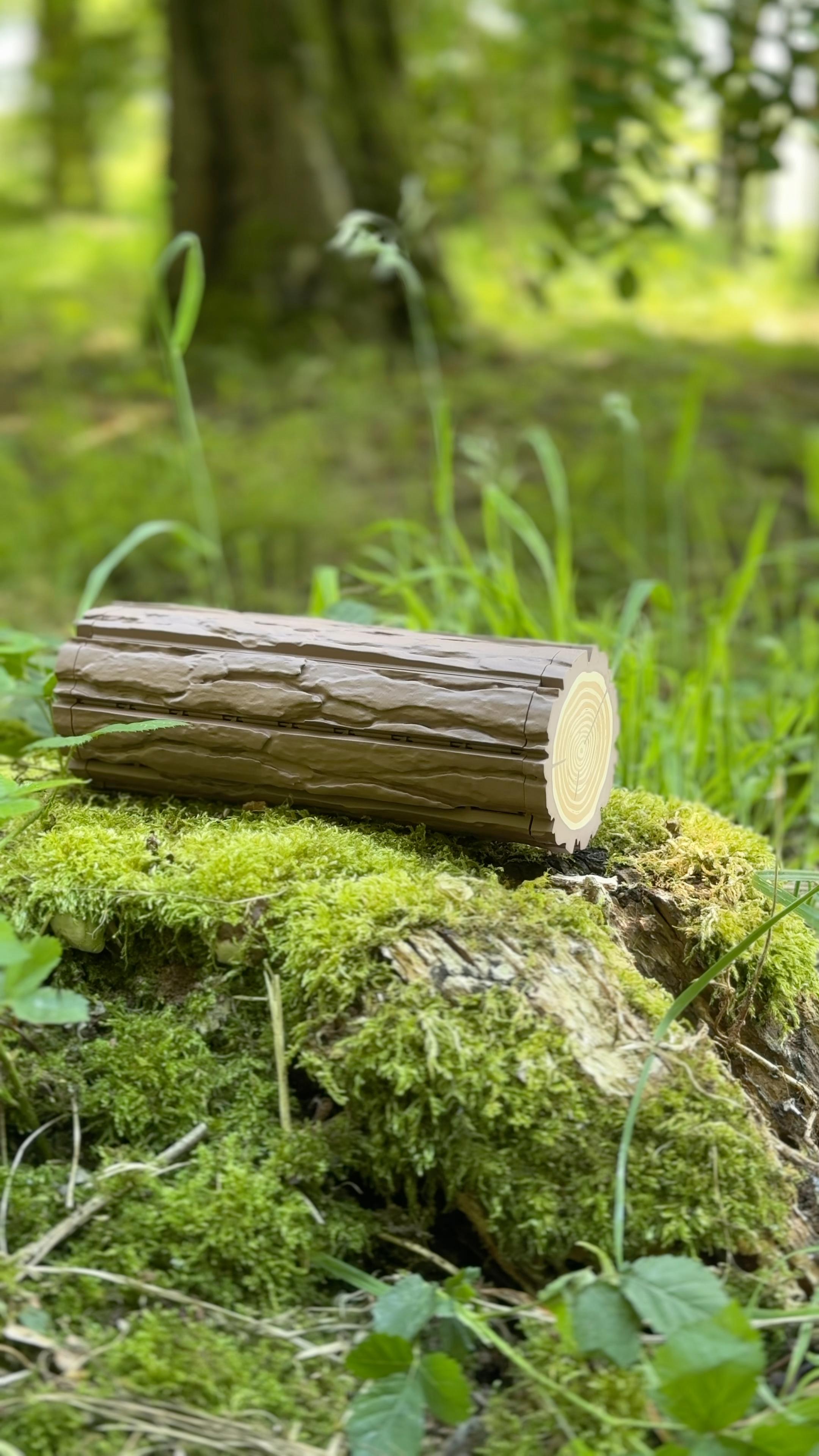 Forest Chess Set - Log and Mushroom Chess Board - Acorn Checkers 3d model