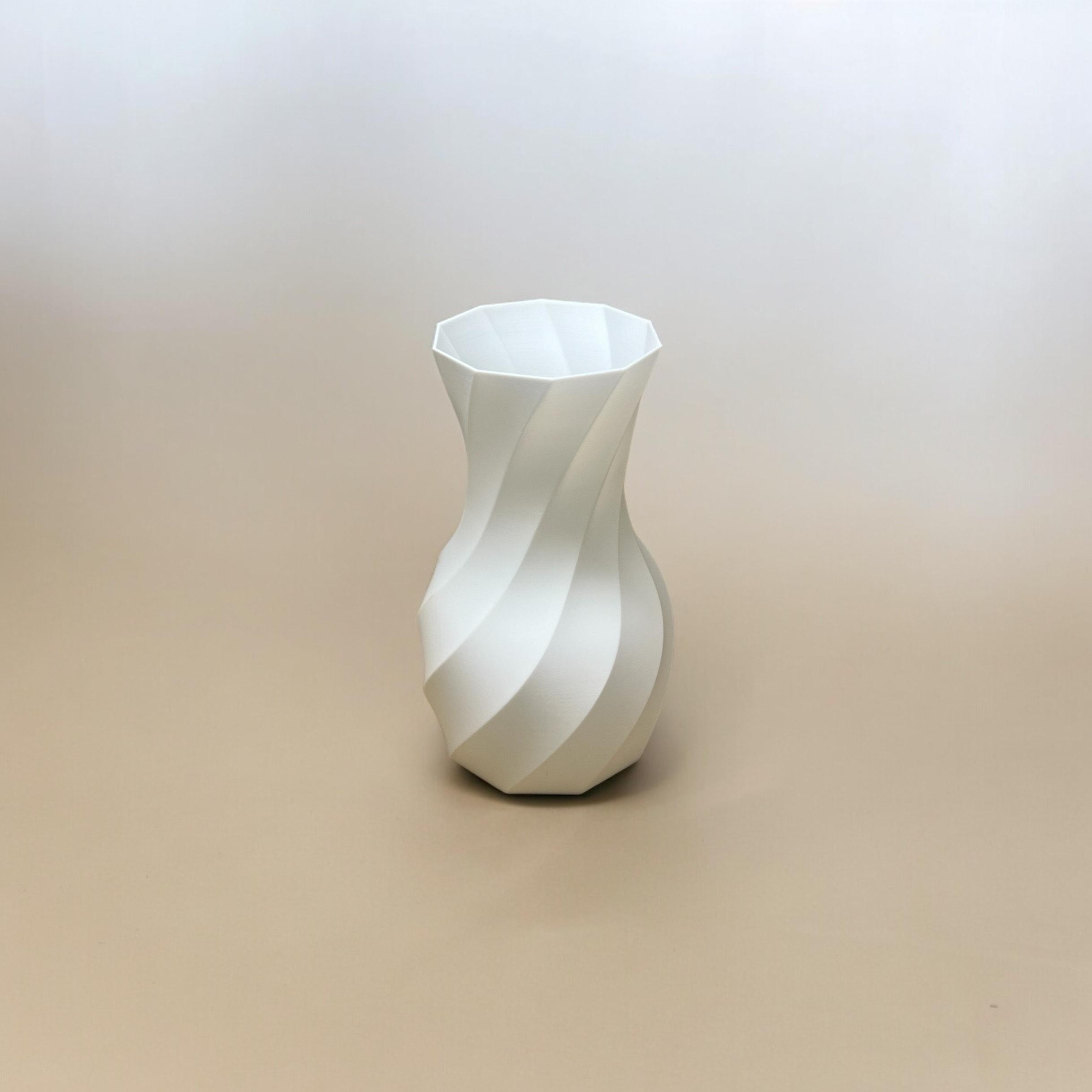 Contemporary Spiral Vase 3d model