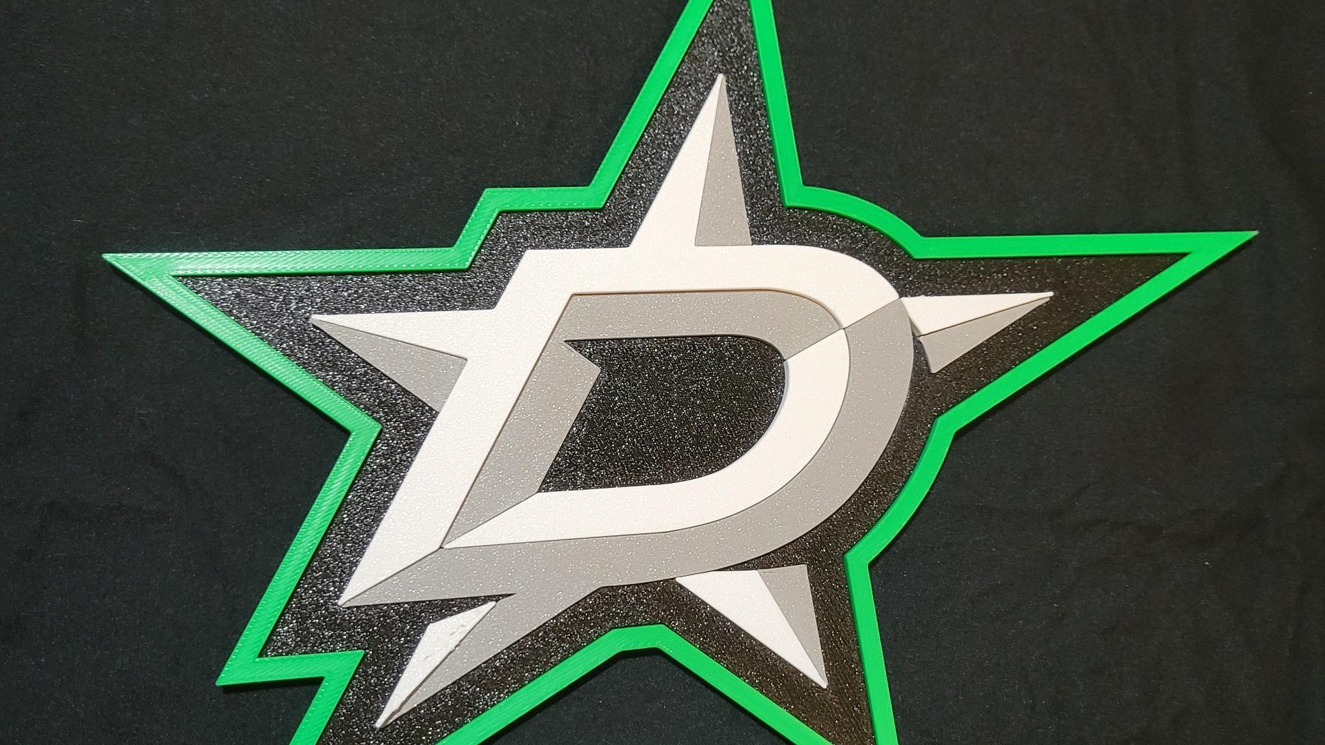 Dallas Stars 3d model