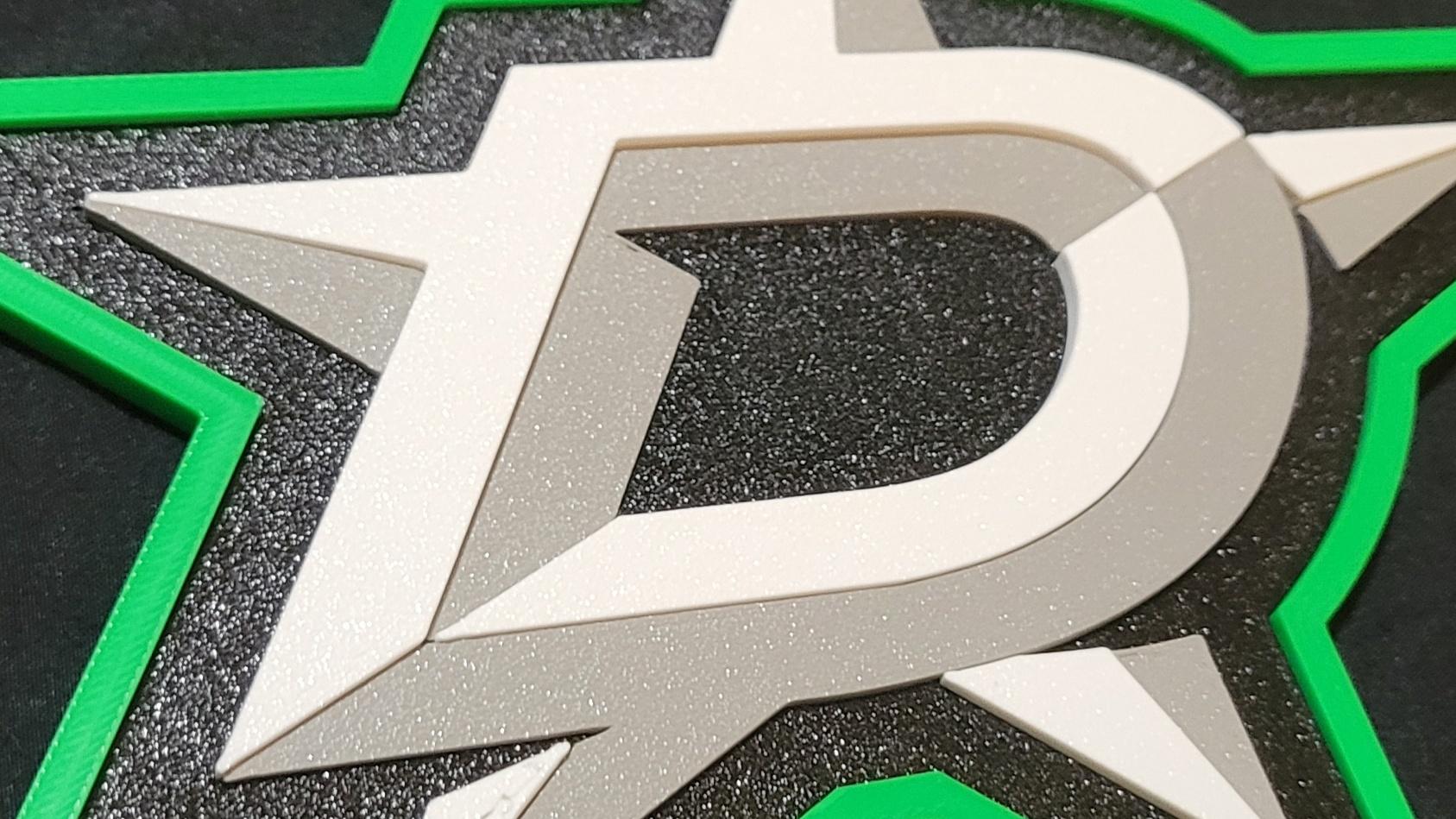 Dallas Stars 3d model