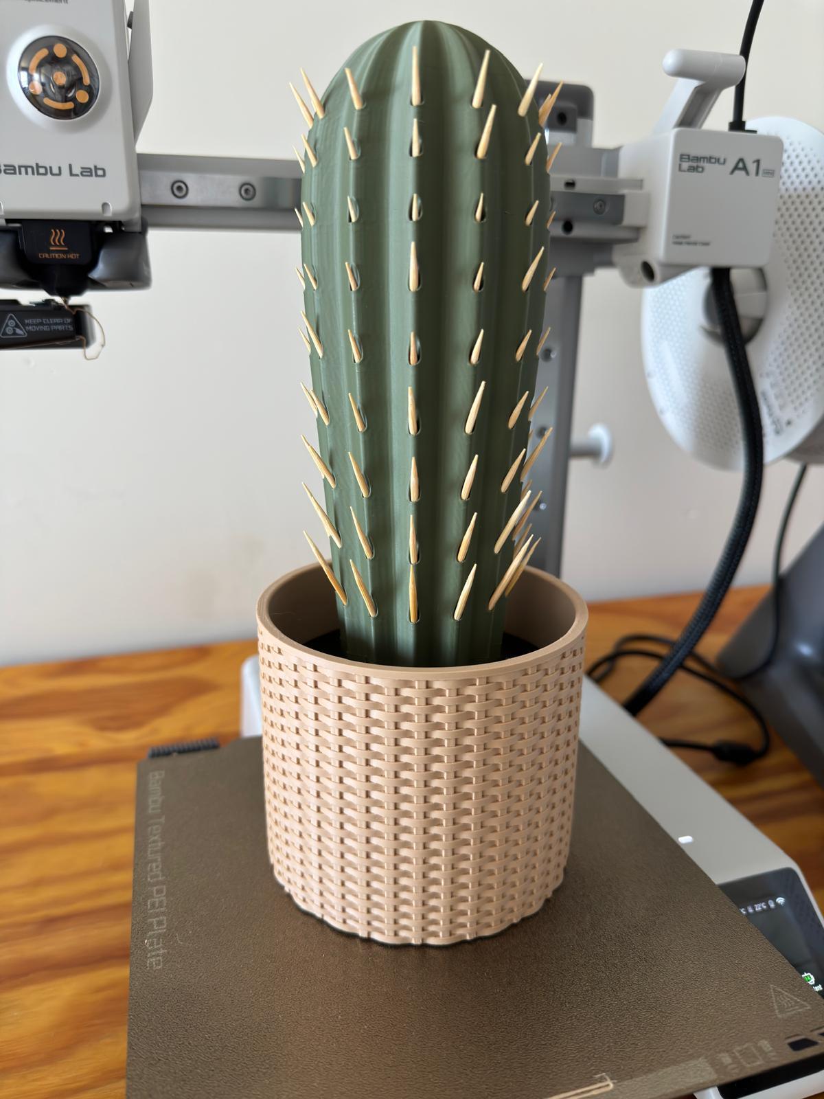 Cactus Toothpick holder - Cactus printed in Eryone Matte PLA. Pot by LoftedGoods and printed in Bambu Lab Matte Latte Brown. - 3d model