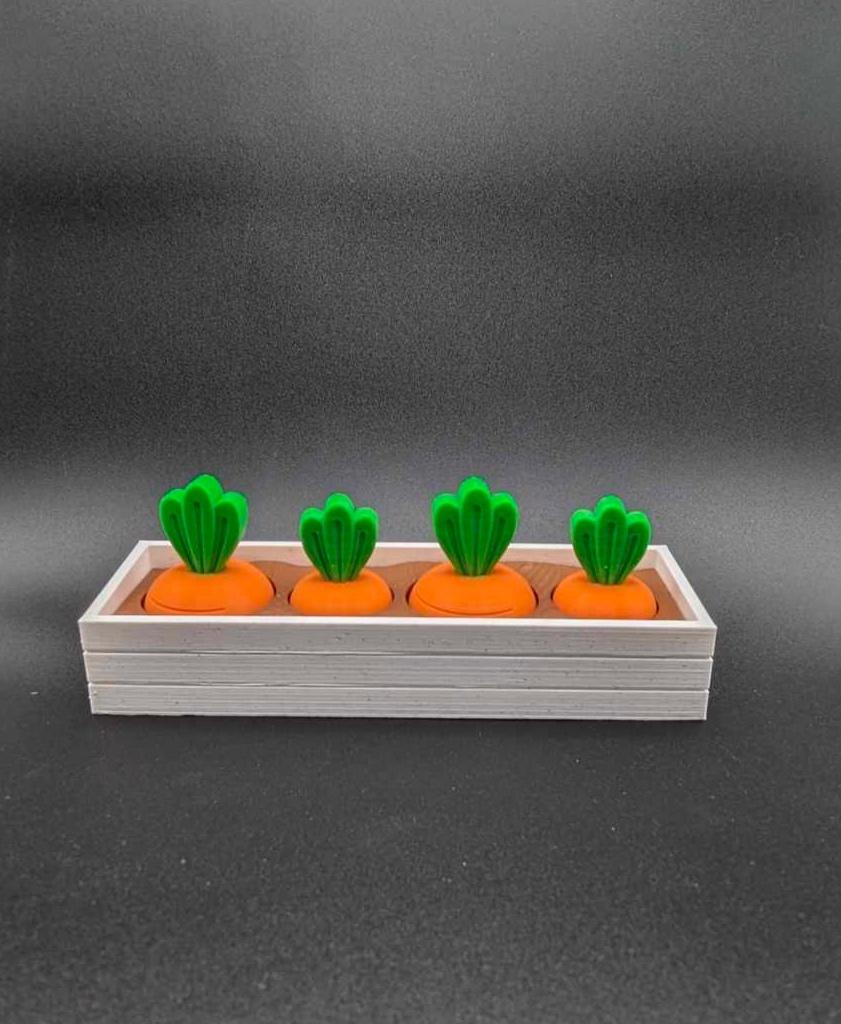 Carrot Garden 3d model