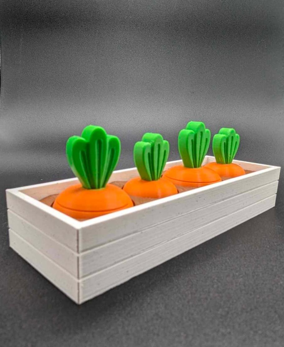 Carrot Garden (2 sizes) 3d model