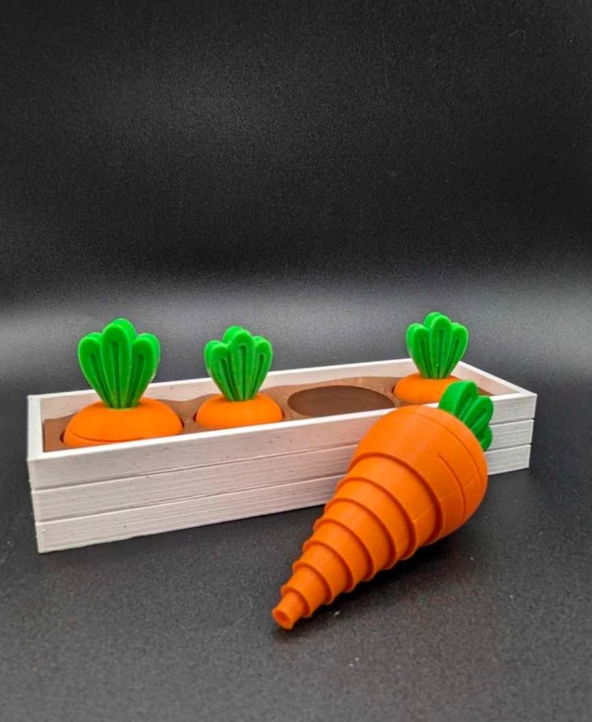 Carrot Garden 3d model