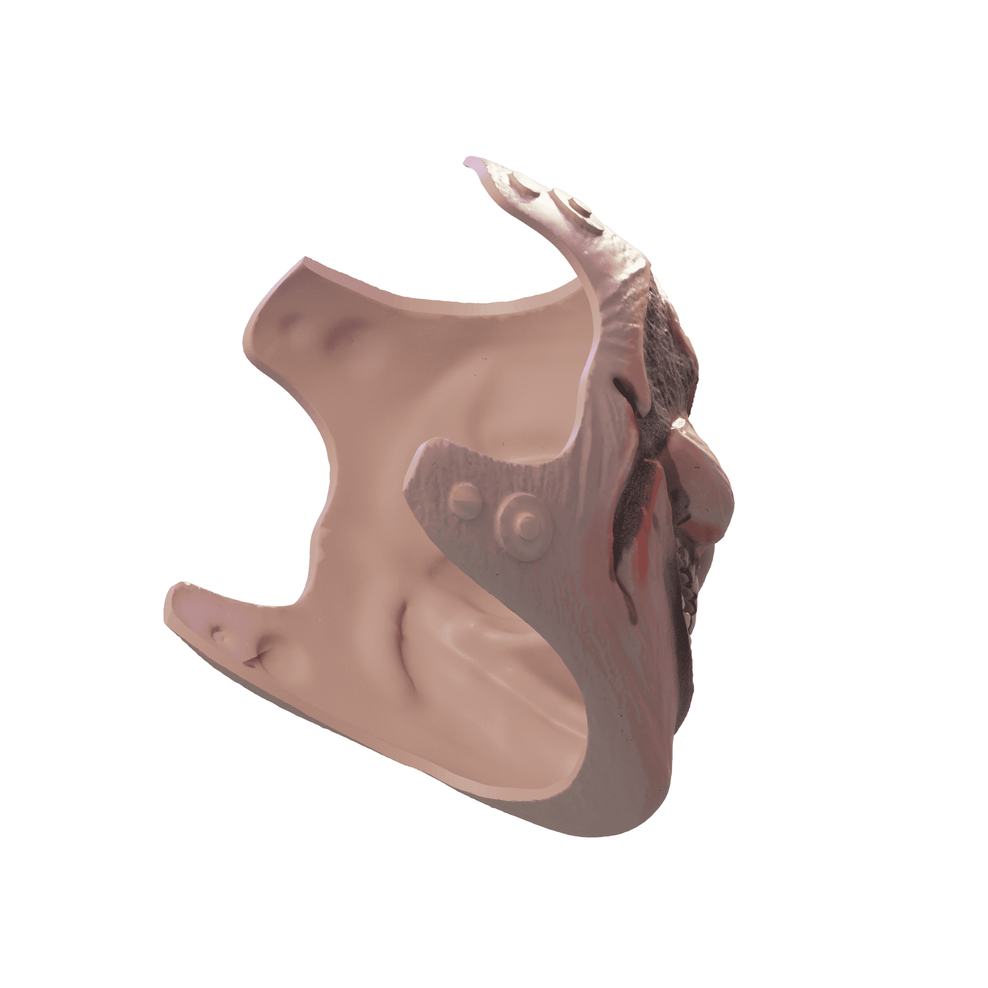 Bray Wyatt Mask 3d model