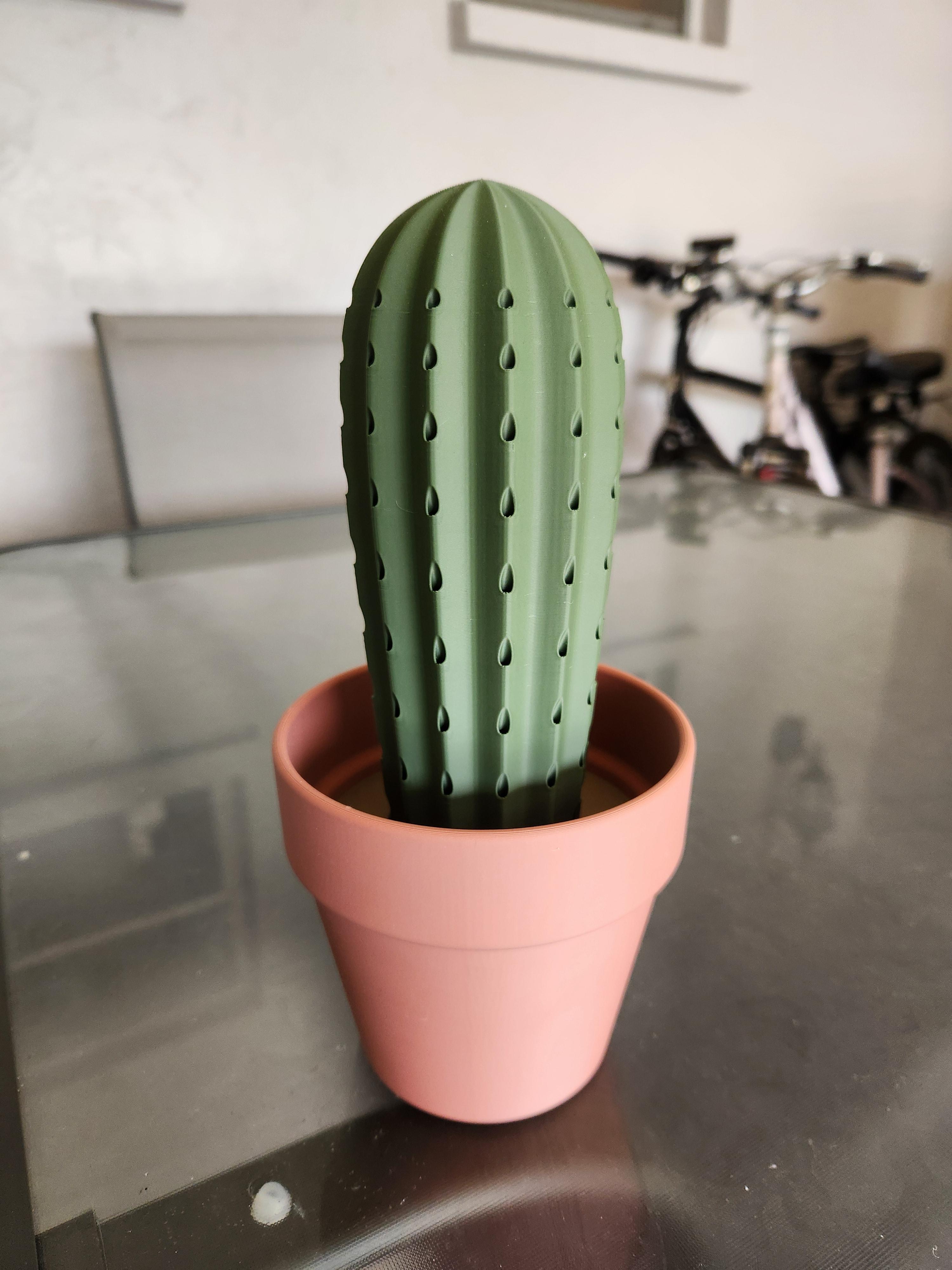 Cactus Toothpick holder - Filament: Hatchbox Matte PLA (Terracotta, Olive Green, Brown)
Used a Metal Spring from Amazon
https://a.co/d/6Qj28xt - 3d model