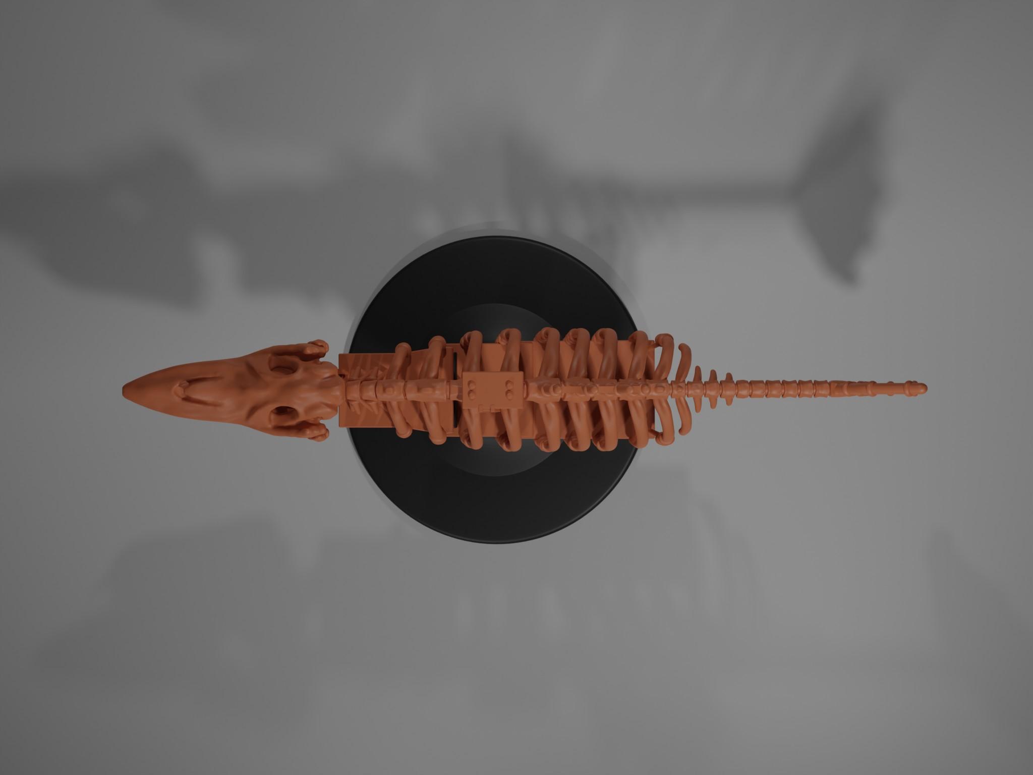 Skeleton Ship Spelljammer Miniature From DnD 2e 3d model