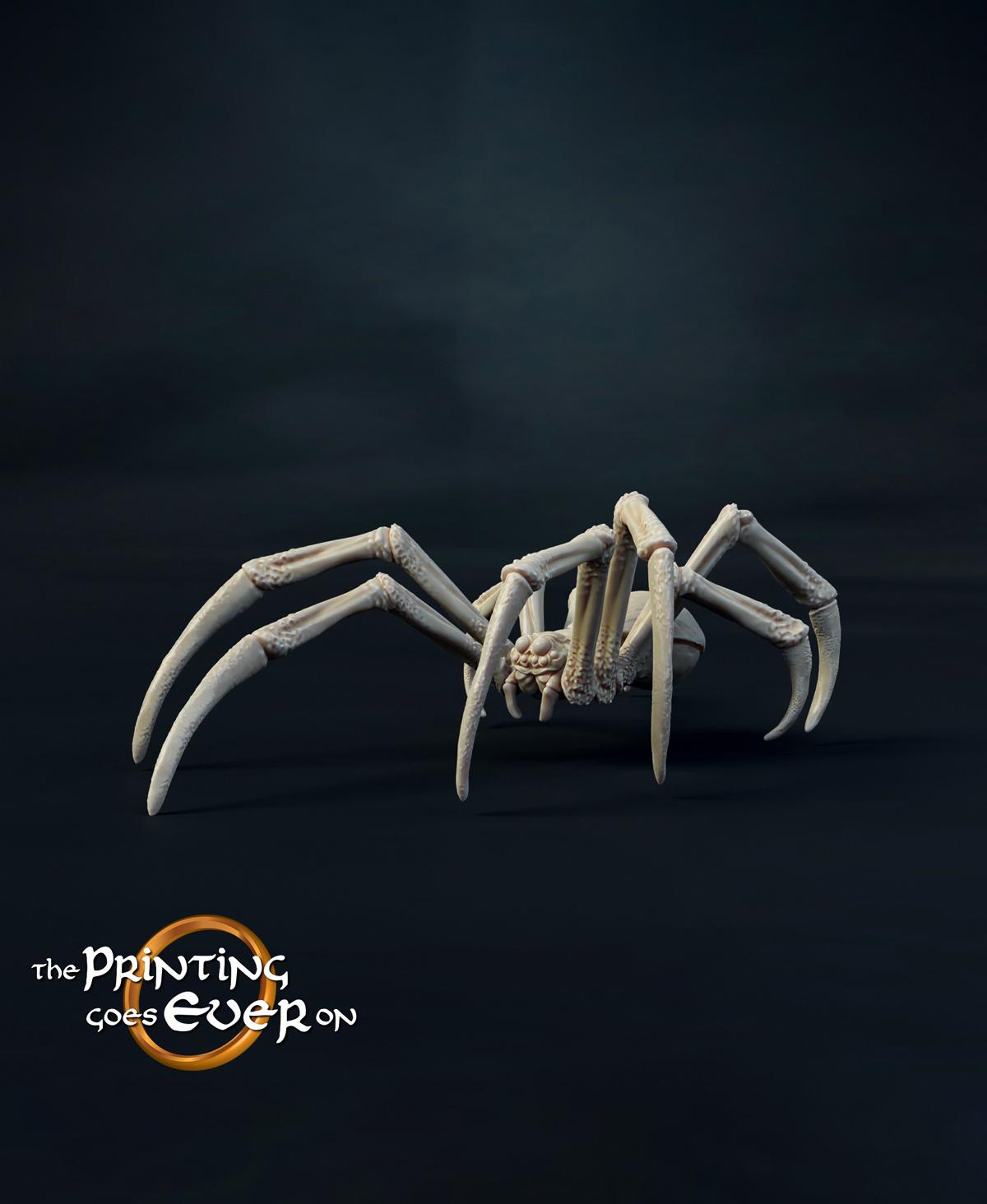 Giant Spiders Set 3d model