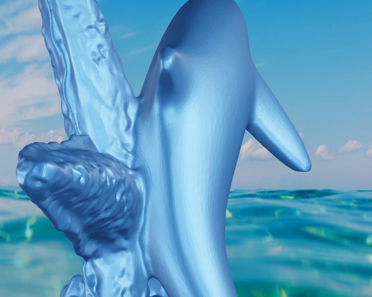 Dolphin Starfish 3d model