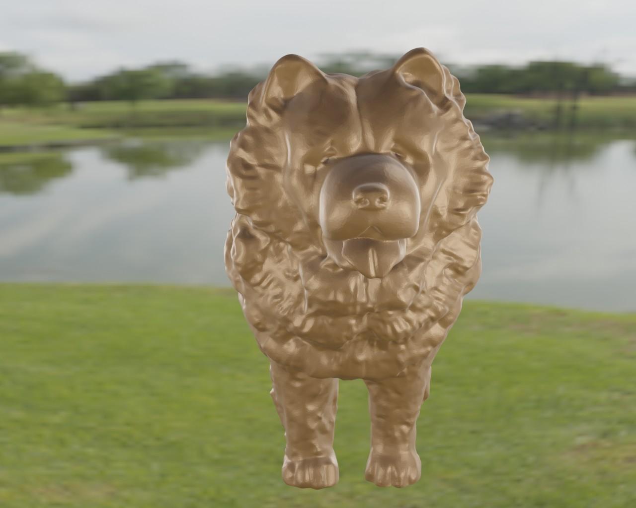 Chow Chow 3d model