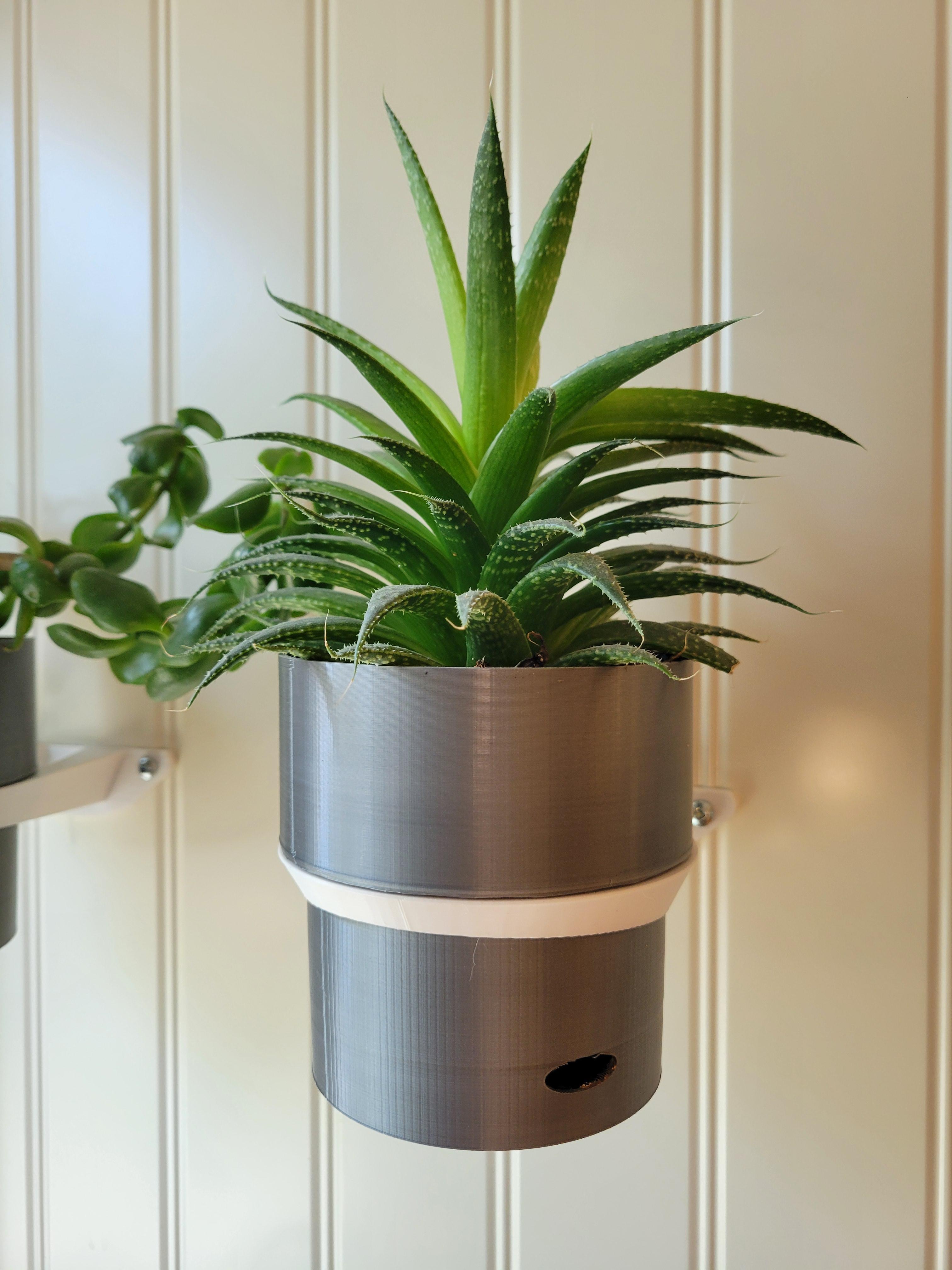 Wall Planter 3d model