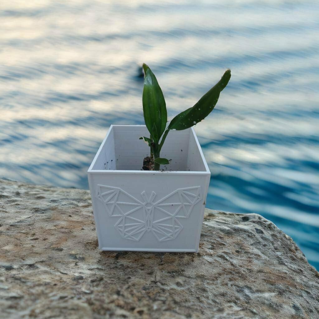 Creature Haven Cube Planter  3d model