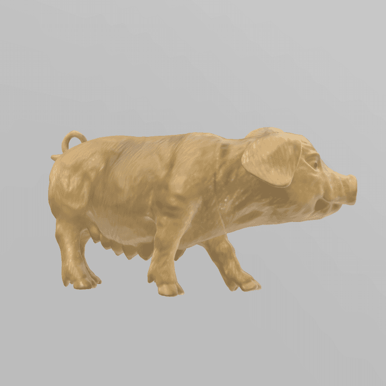 Pig 3d model