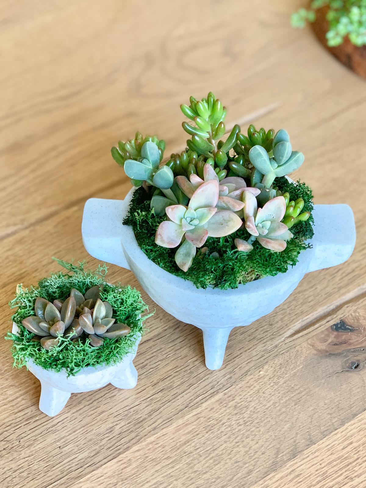 Molcajete Planter Set of 4 3d model