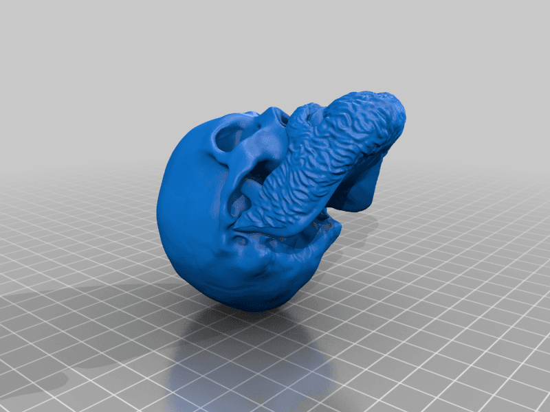 Skull with Beard 3d model