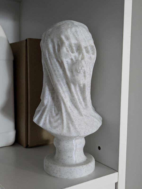 Draped Skull Bust (Pre Supported) - Scaled down to fit the A1 Mini.
Printed in Ziro Marble PLA. - 3d model