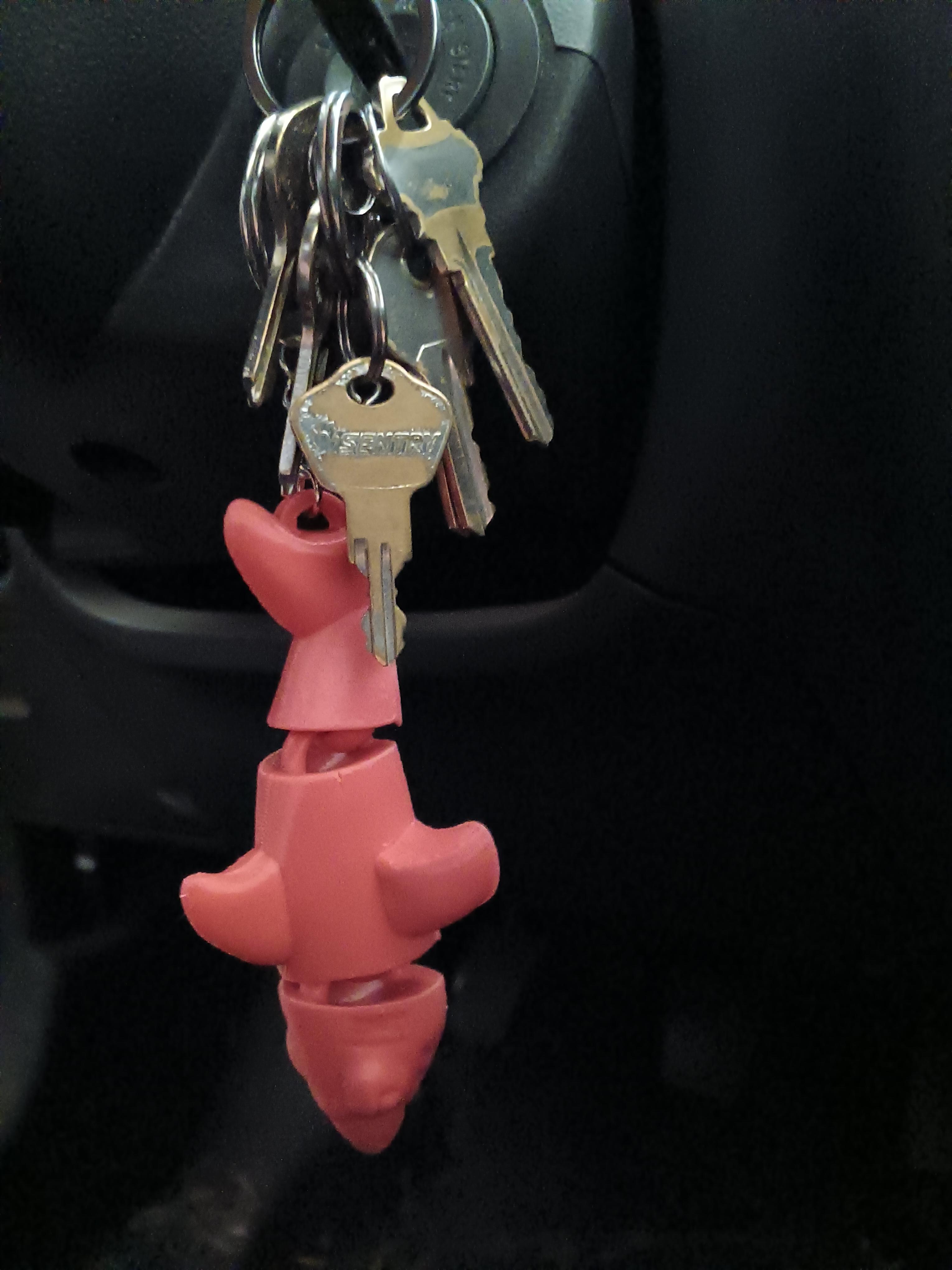 Flexi Shark key chain - articulated - print in place  3d model