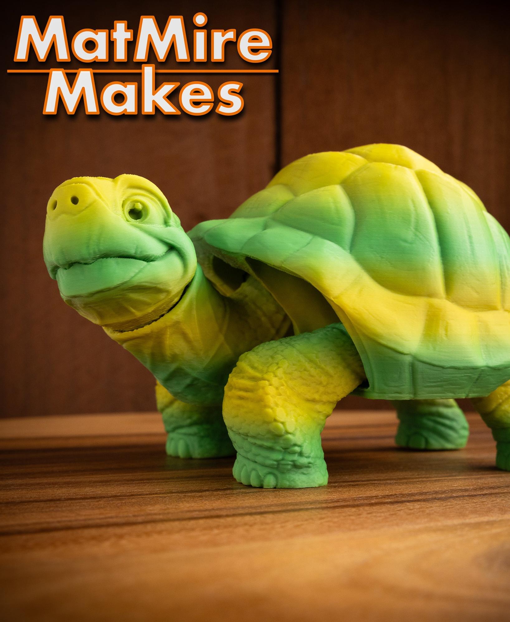 Tortoise - Articulated Figure 3d model