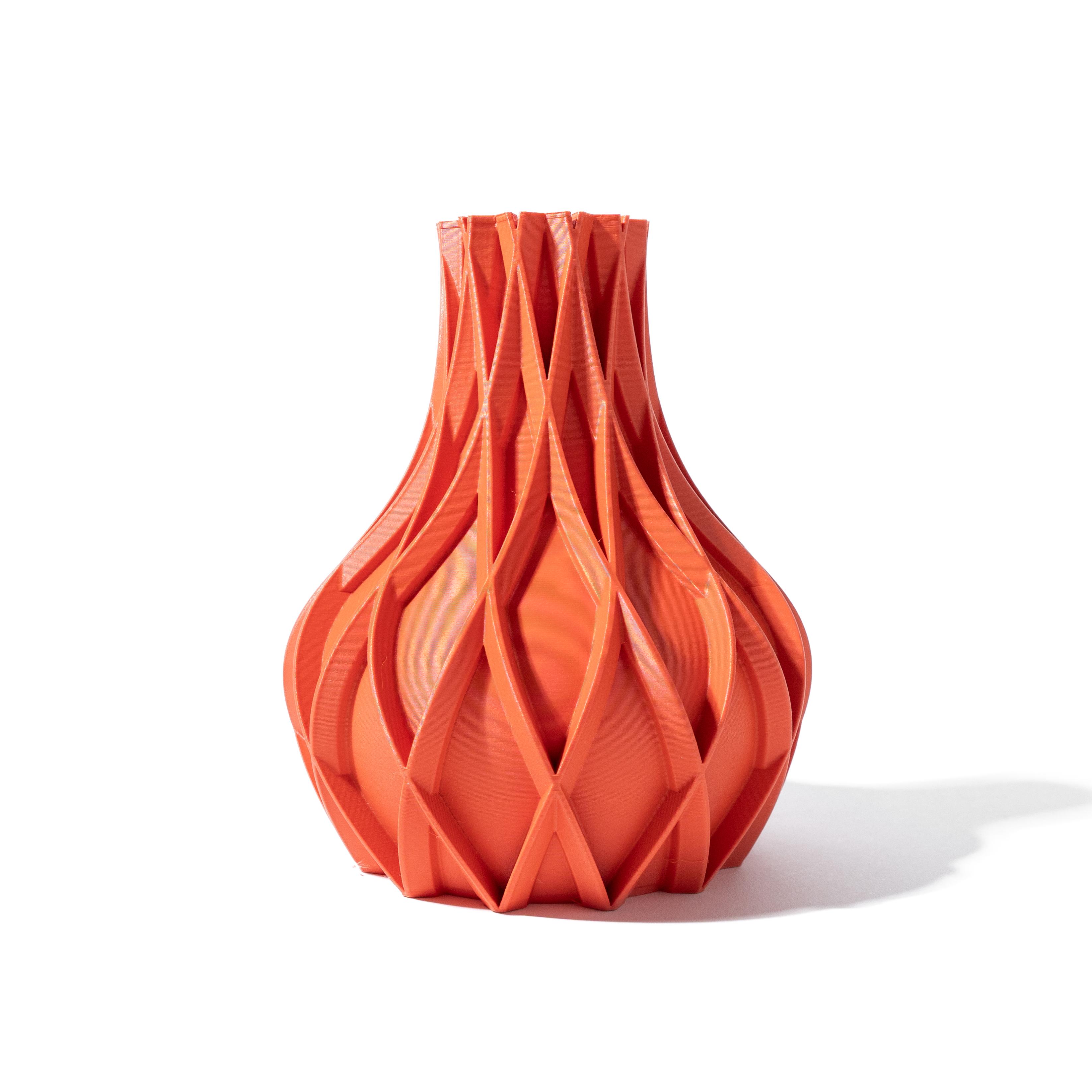 The Avio Vase, Modern and Unique Home Decor for Dried and Preserved Flower Arrangement  | STL File 3d model