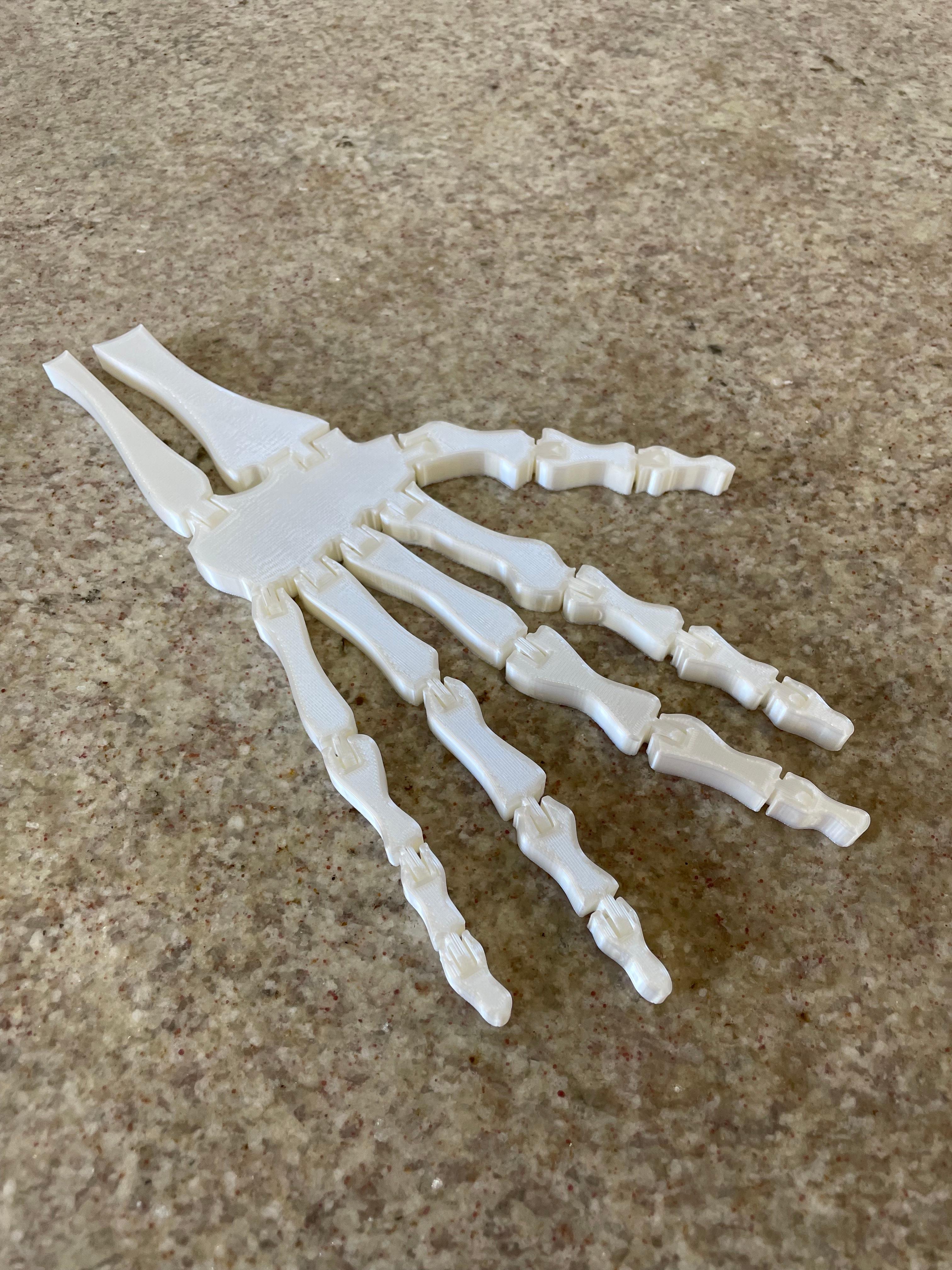 Spooky Flexi Skeleton Hand! Articulated! Bone Hand! 3d model