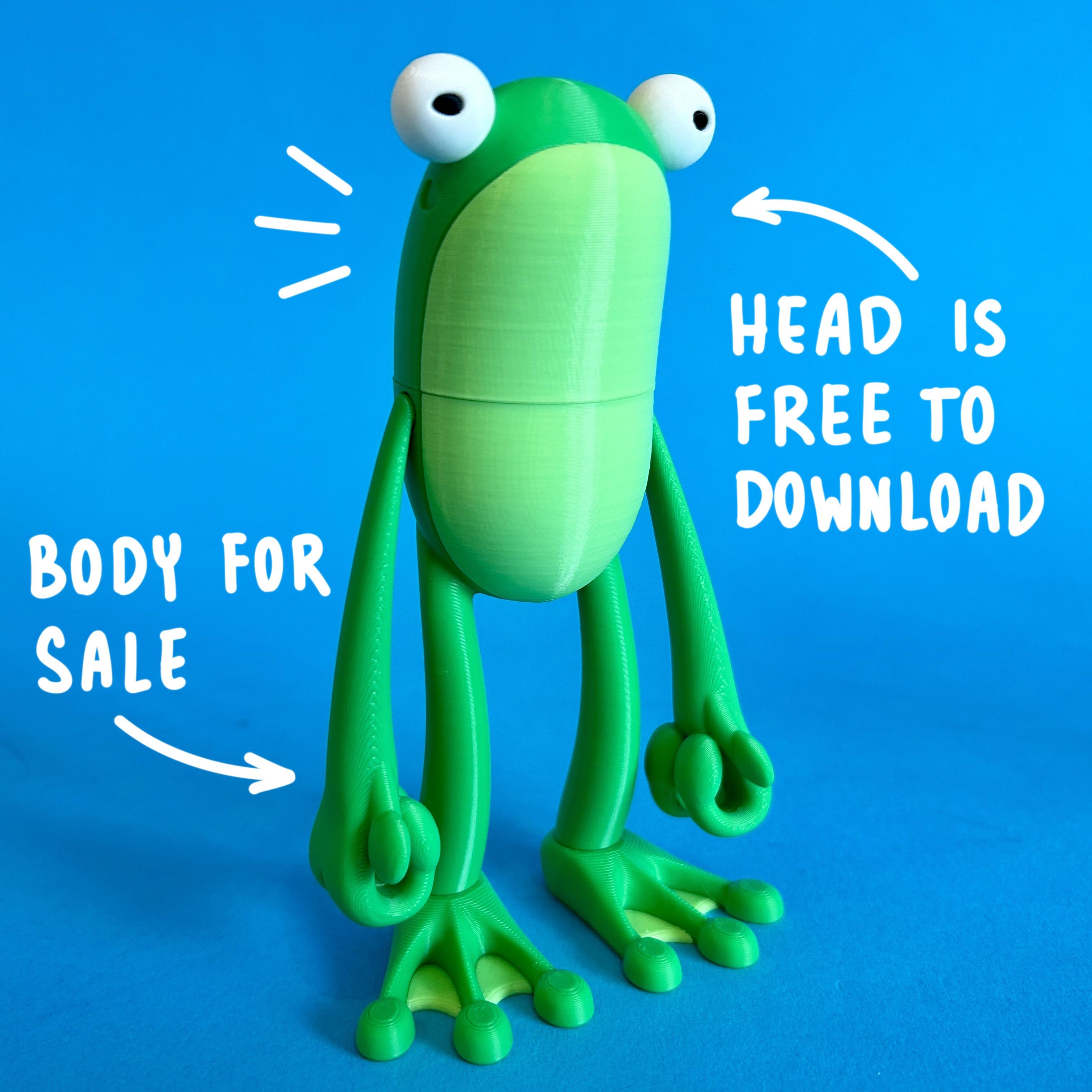 Fly Frog Original Figure Head 3d model