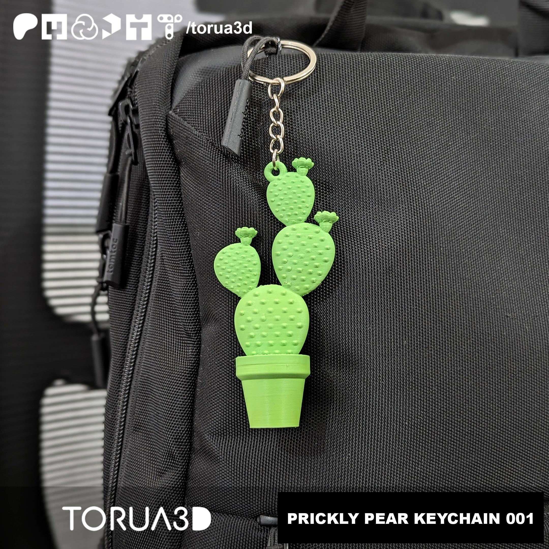 PRICKLY PEAR KEYCHAIN 001 - Cactus - Floors 3d model