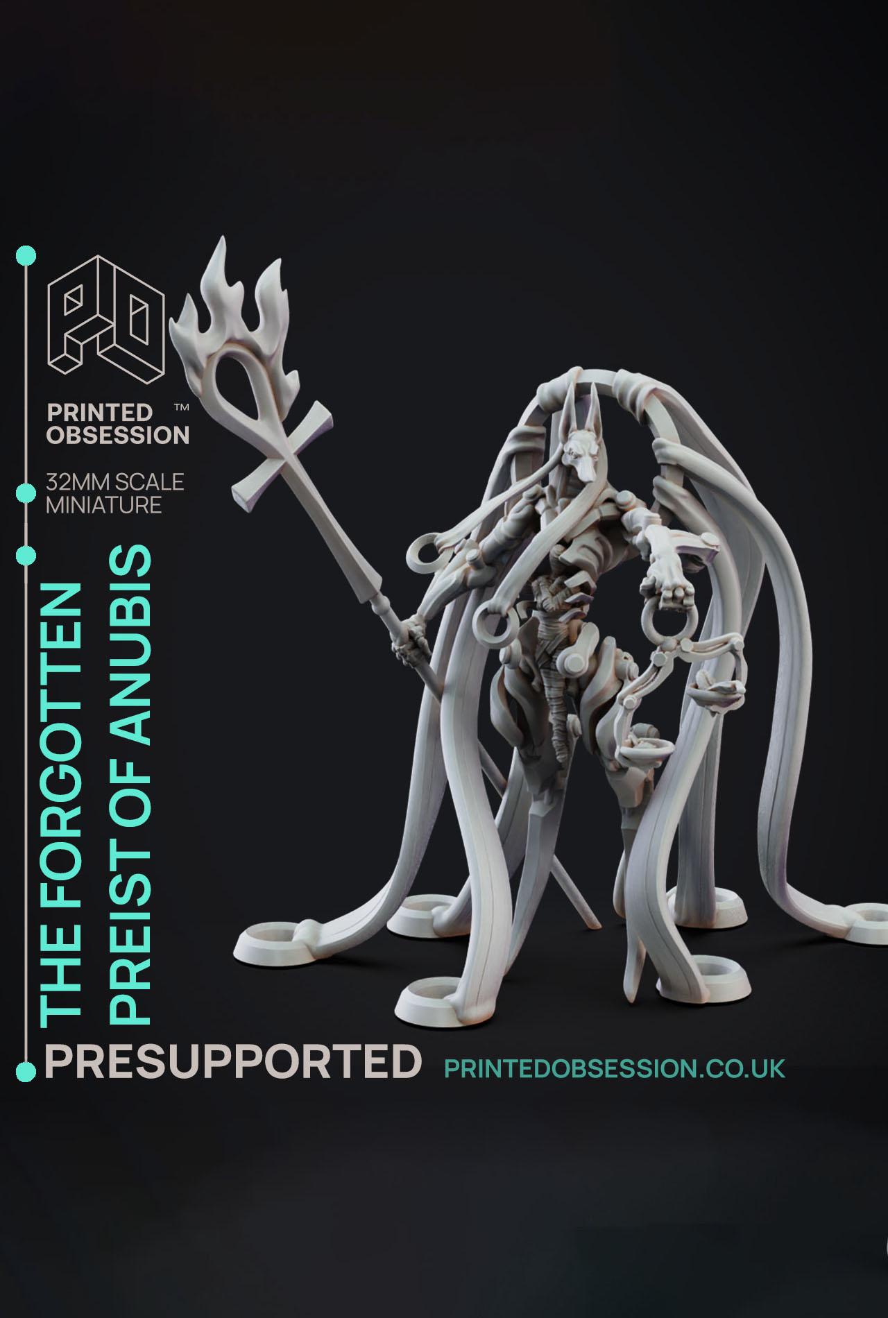 The Forgotten Preist of Anubis - Deity Fight Club - PRESUPPORTED - Illustrated and Stats - 32mm scal 3d model