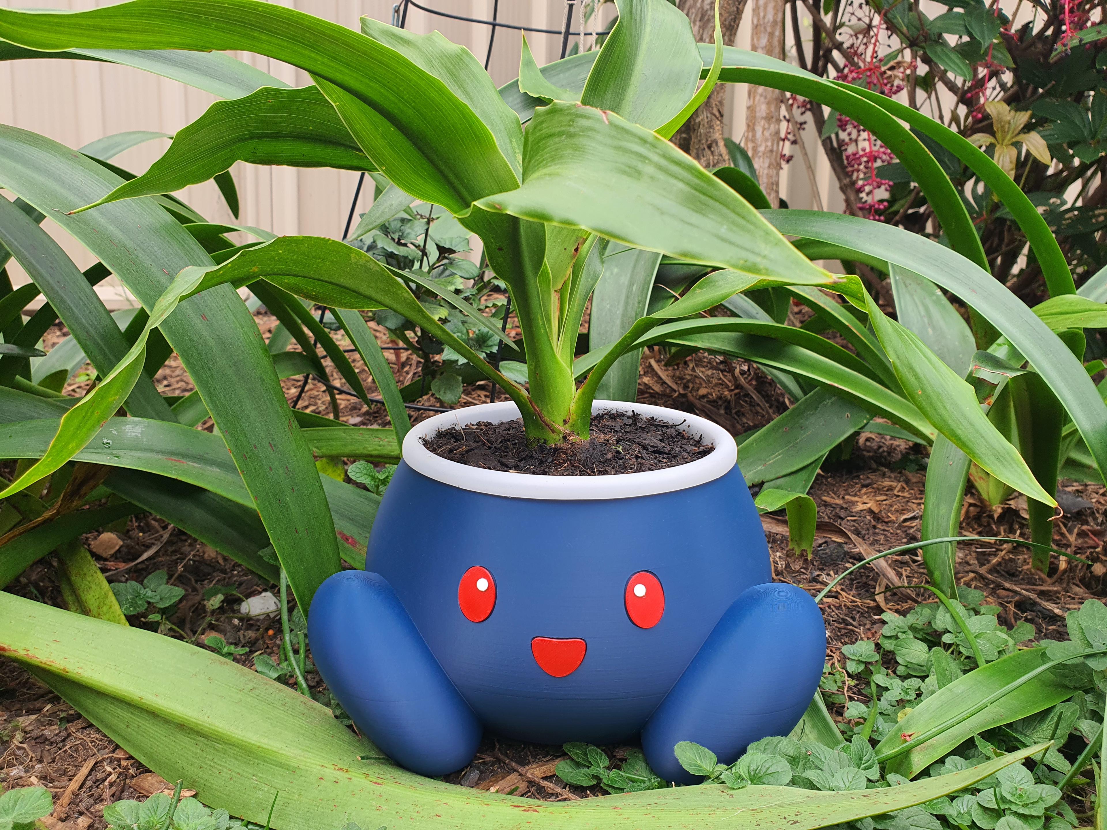 Oddish Pot (No Supports) - Pokémon Planter *by RNDM3D* - Cute little Oddish planter. Scaled it up to 150% and works fine. 

One tip with the eyes and mouth is to run the print then once it finishes instead of taking it off, raise the heatbed temp to 80° so the print gets a bit malleable leave it for a minute and then peel it off the print bed and press to the recesses. That then forms the eyes to the curve of the pot and they glue in a lot better. 

I also just made a small circle and ran it for 5 layers with top ironing for the pupils and just glued those on.  - 3d model
