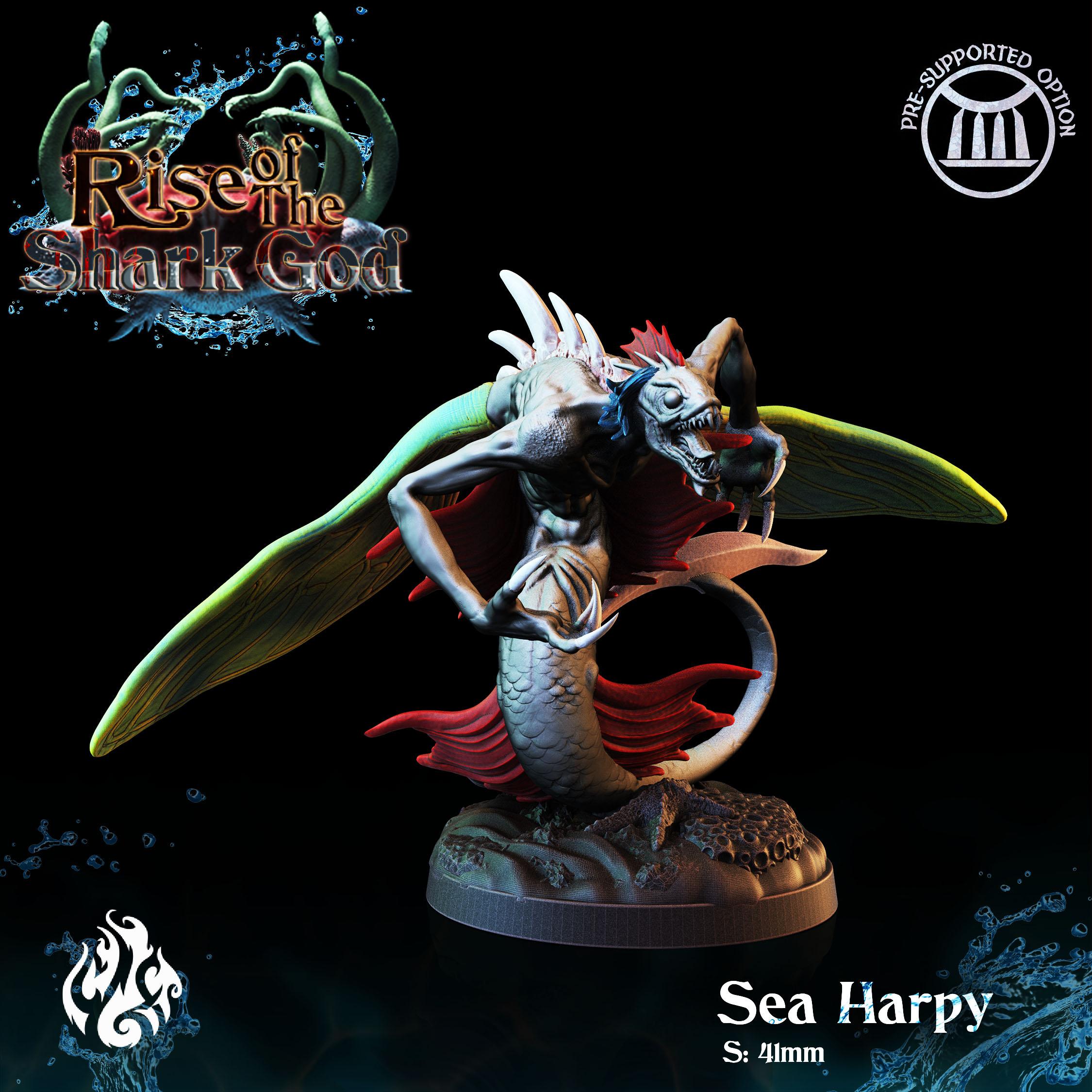 Sea Harpy 3d model