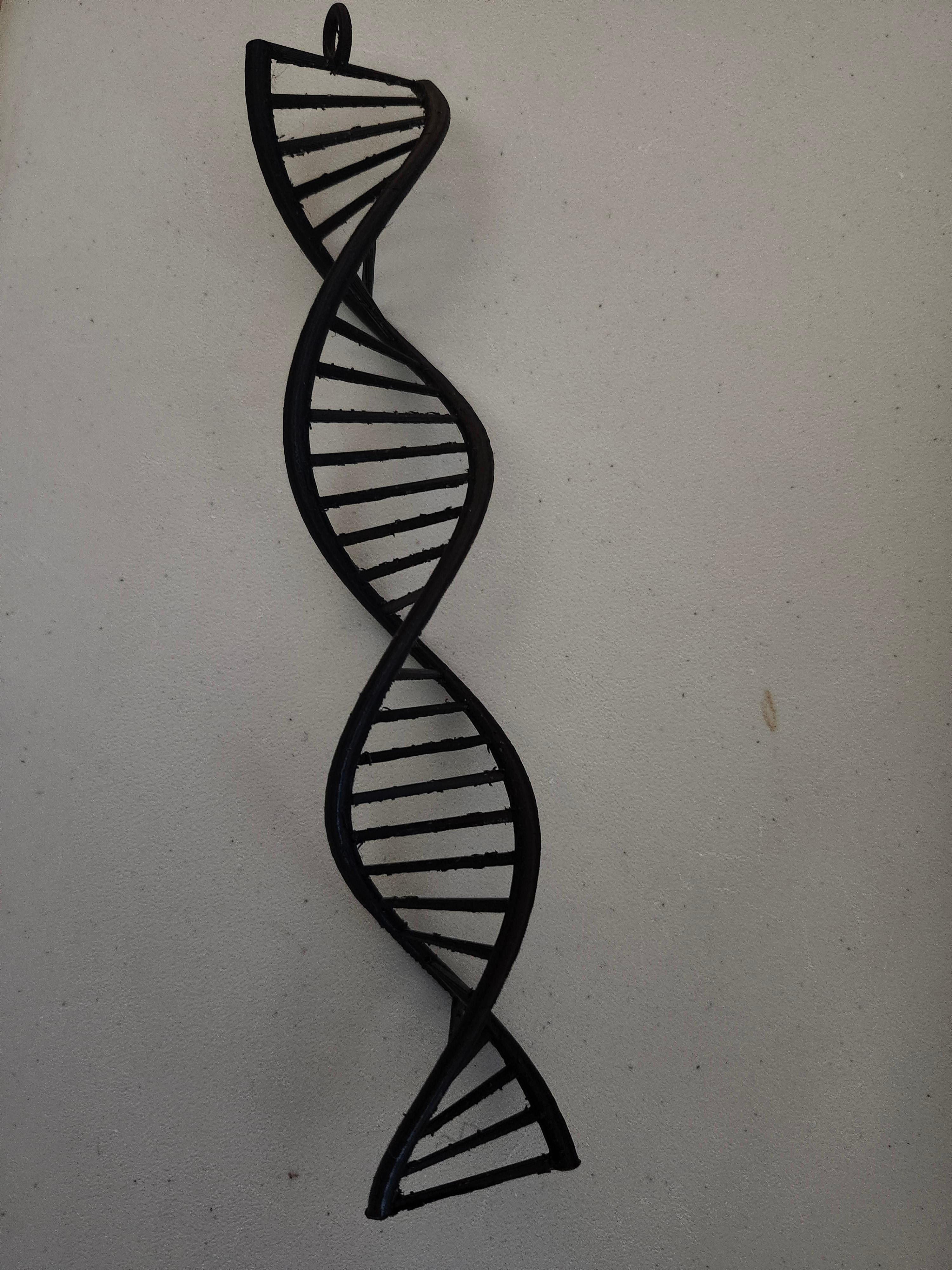 DNA-Helix-v1.stl 3d model