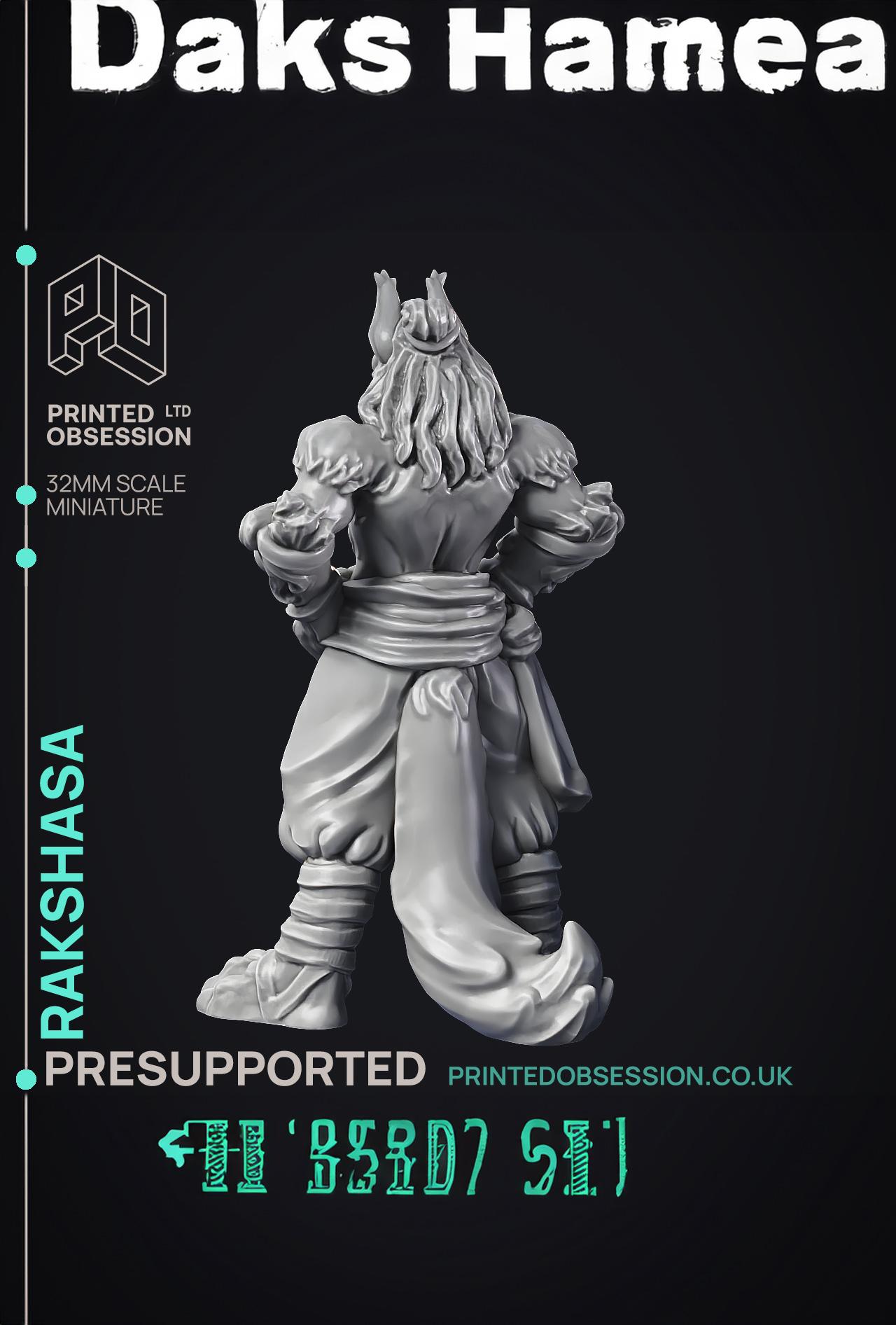 Rakshasa - Medium Demon - PRESUPPORTED - Hell Hath No Fury - 32 mm Scale  3d model