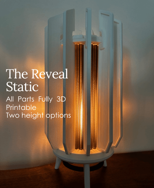 The Reveal - Static 3d model