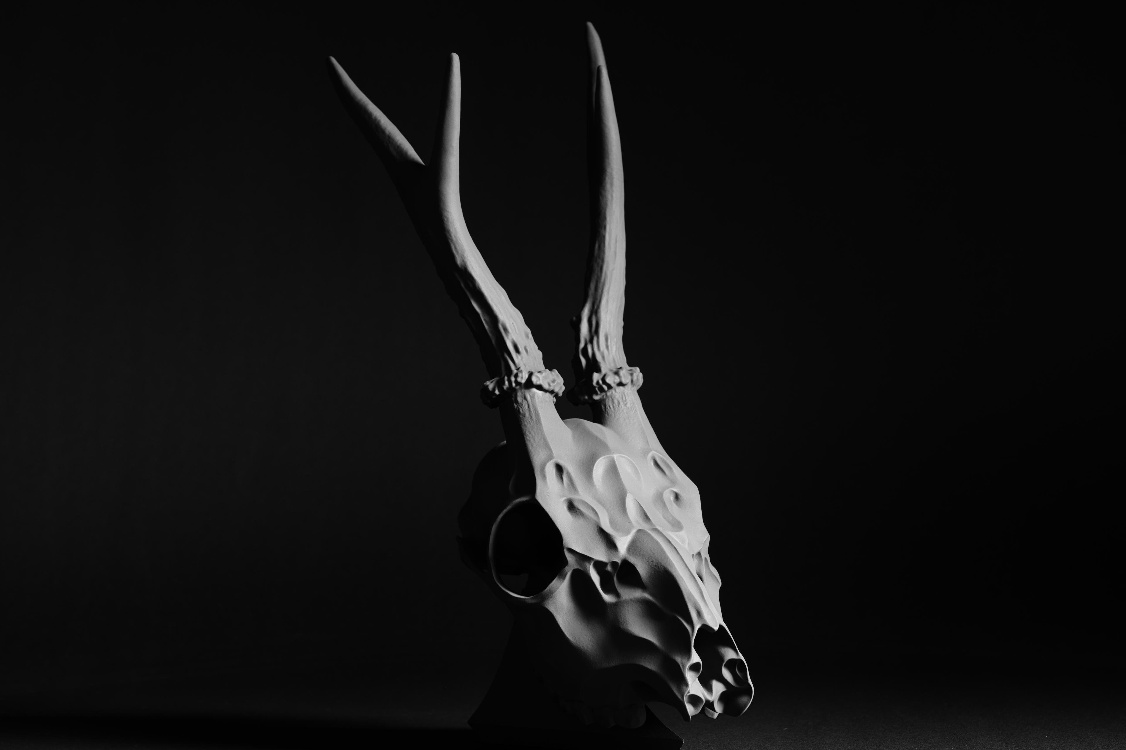 Deer Skull (Pre-Supported) 3d model