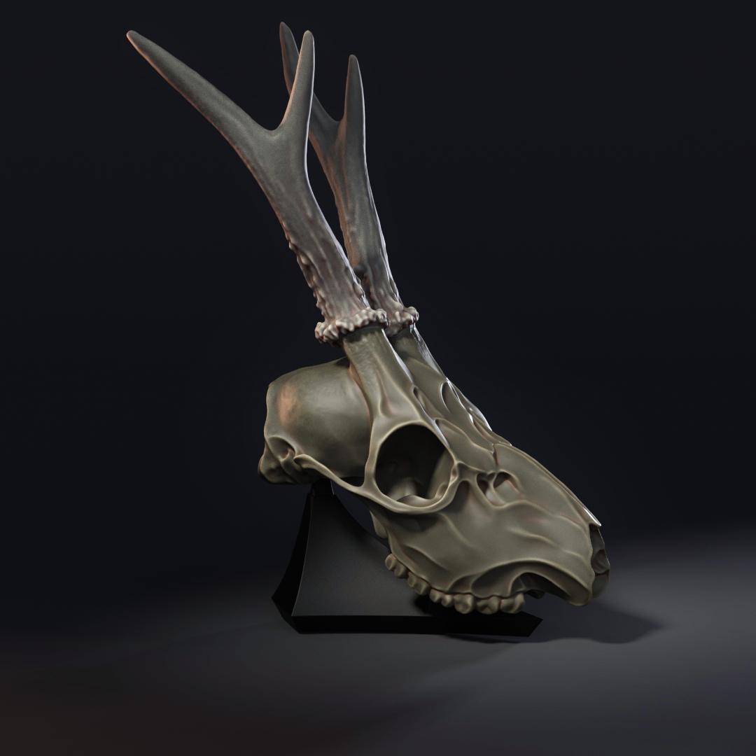 Deer Skull (Pre-Supported) 3d model