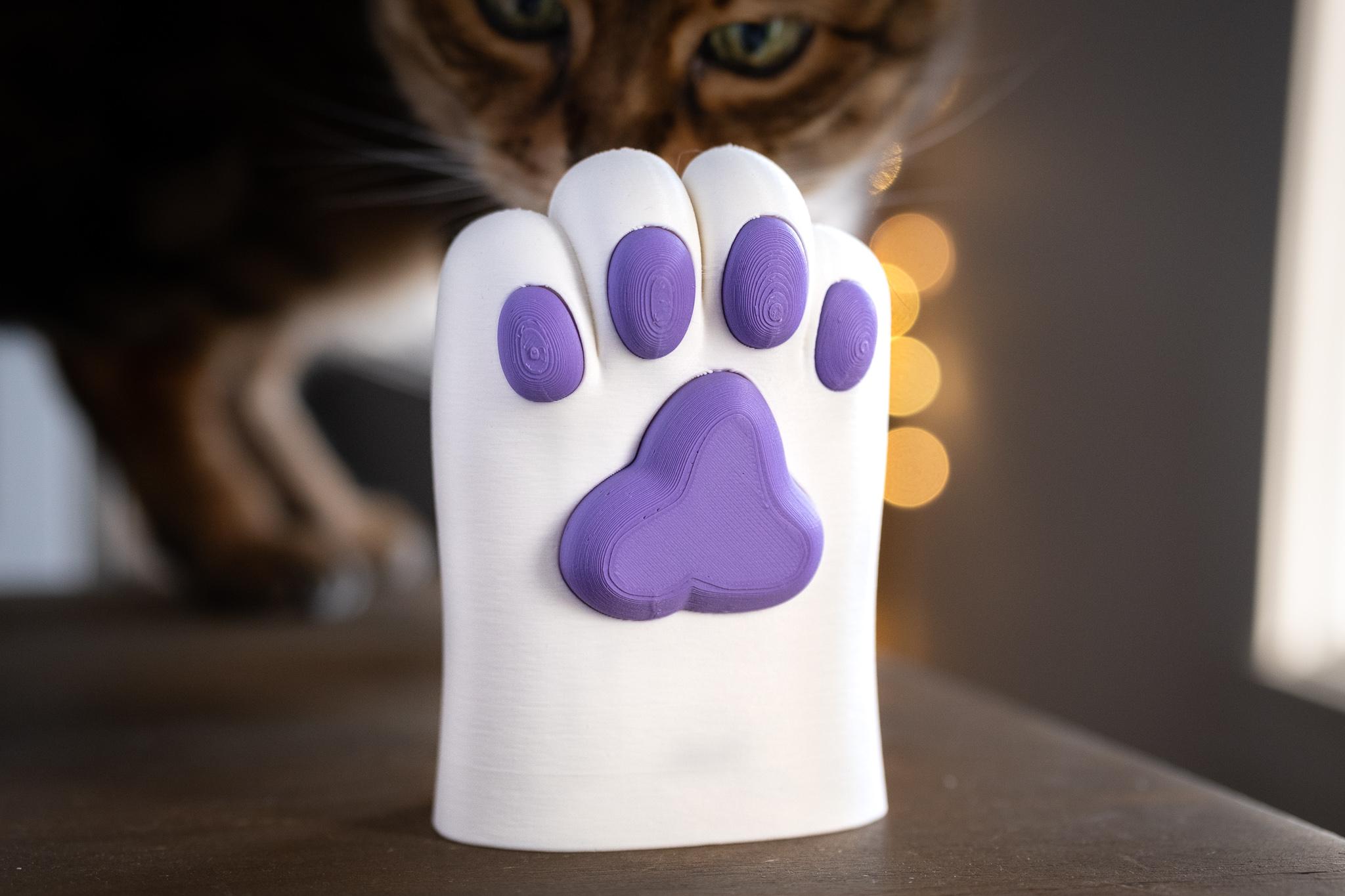 Super Cute Paw Pen Cup 3d model