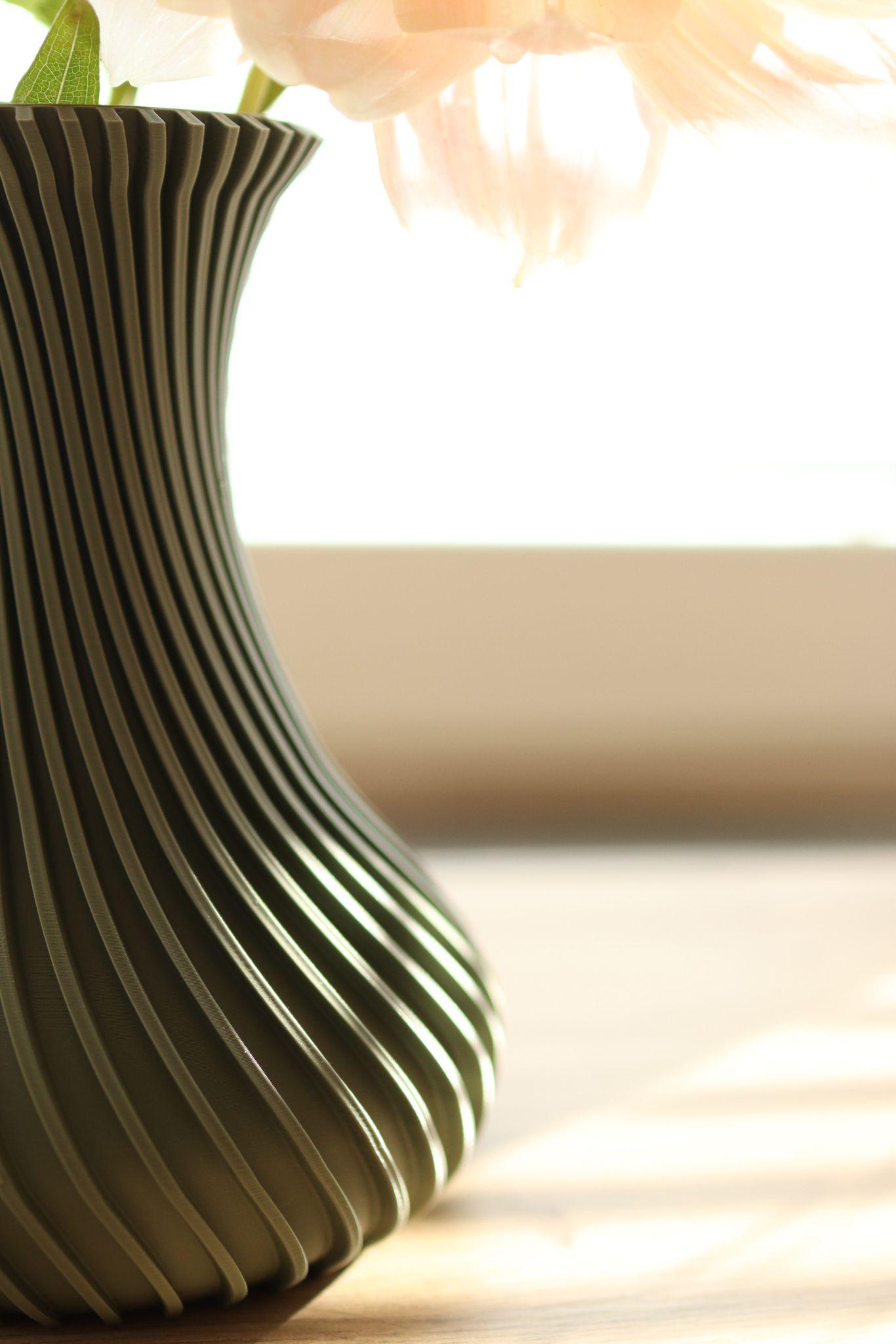 VASE 1.6 3d model