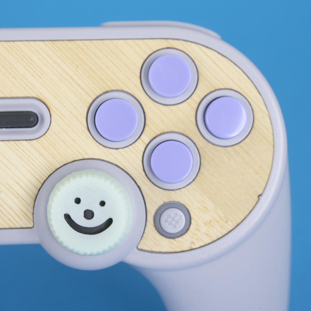 8BitDo SN30 Pro+ Thumbstick Covers 3d model