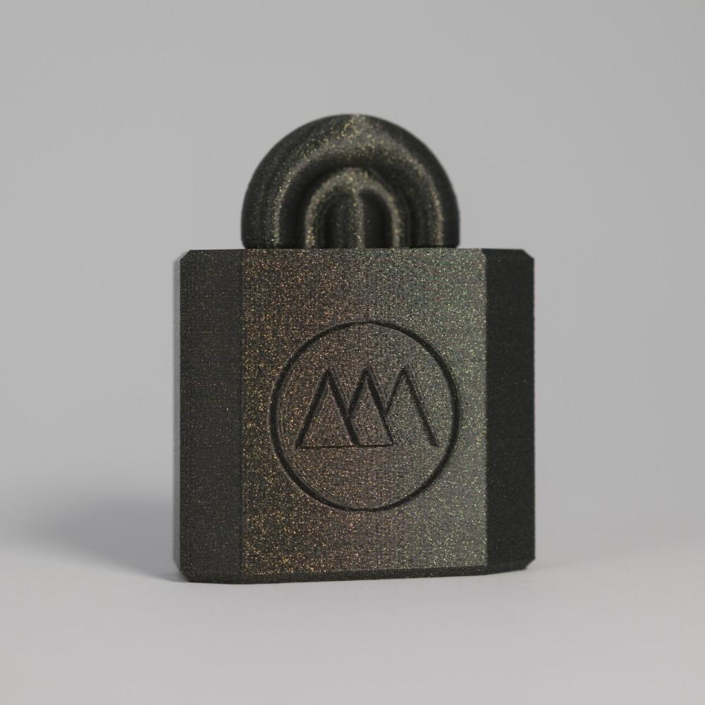 Lockpick Puzzle 10 3d model