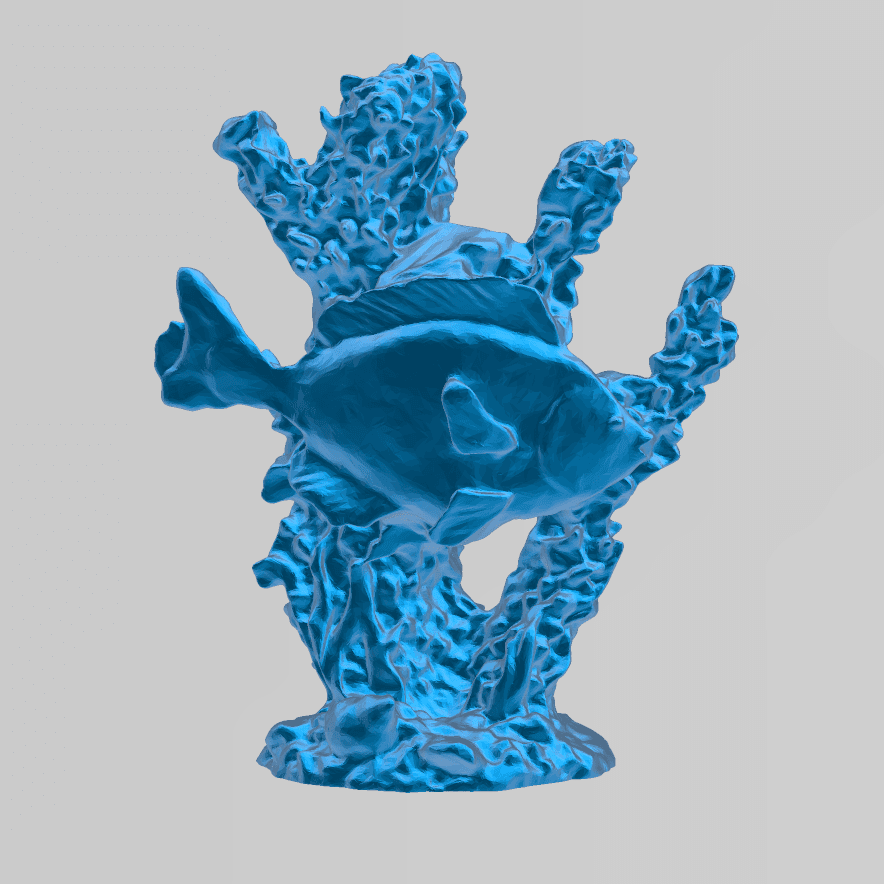 Coral and fish 3d model