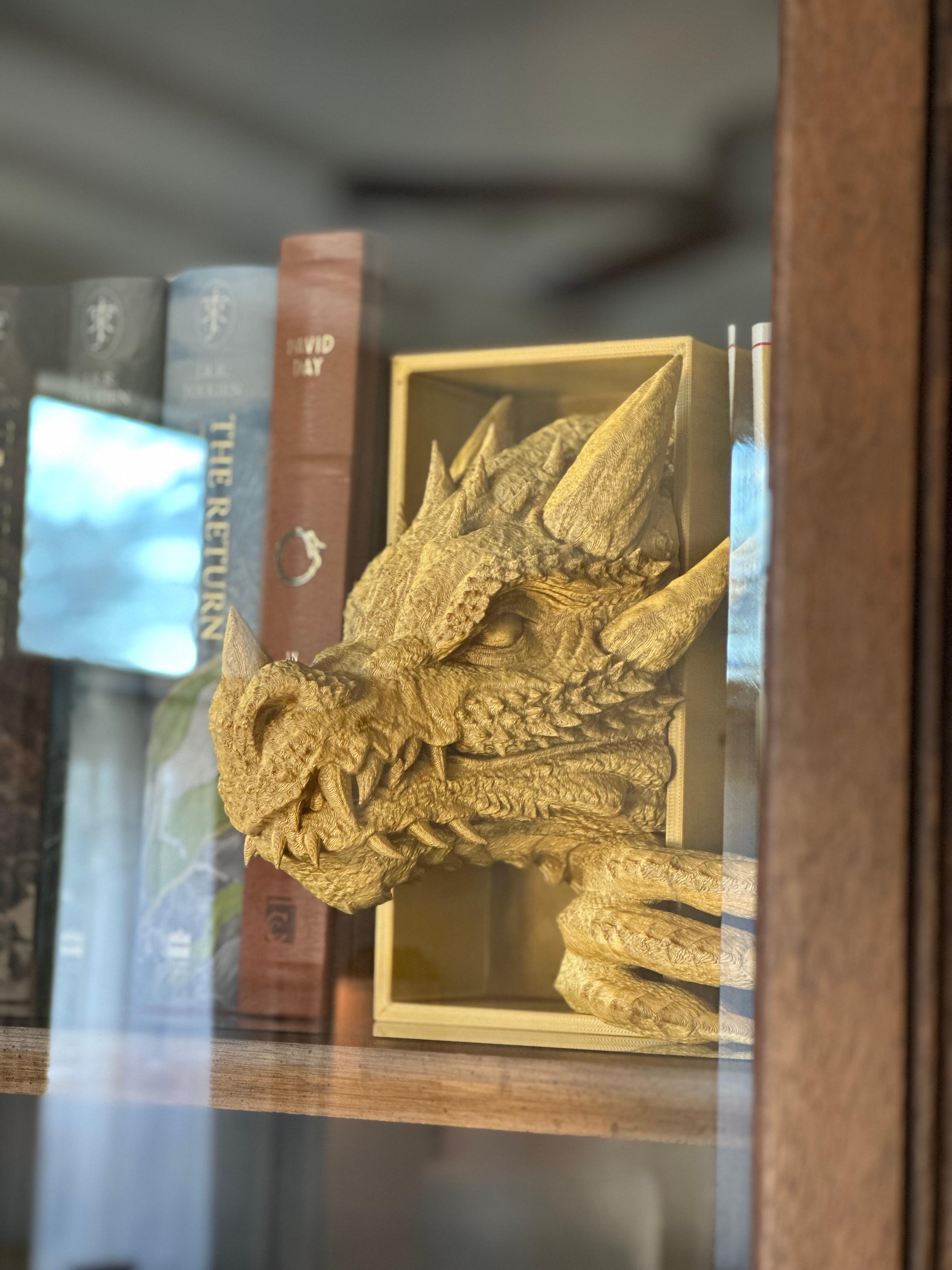 Dragon Emerging Head and Tail- Two Book Nook  3d model