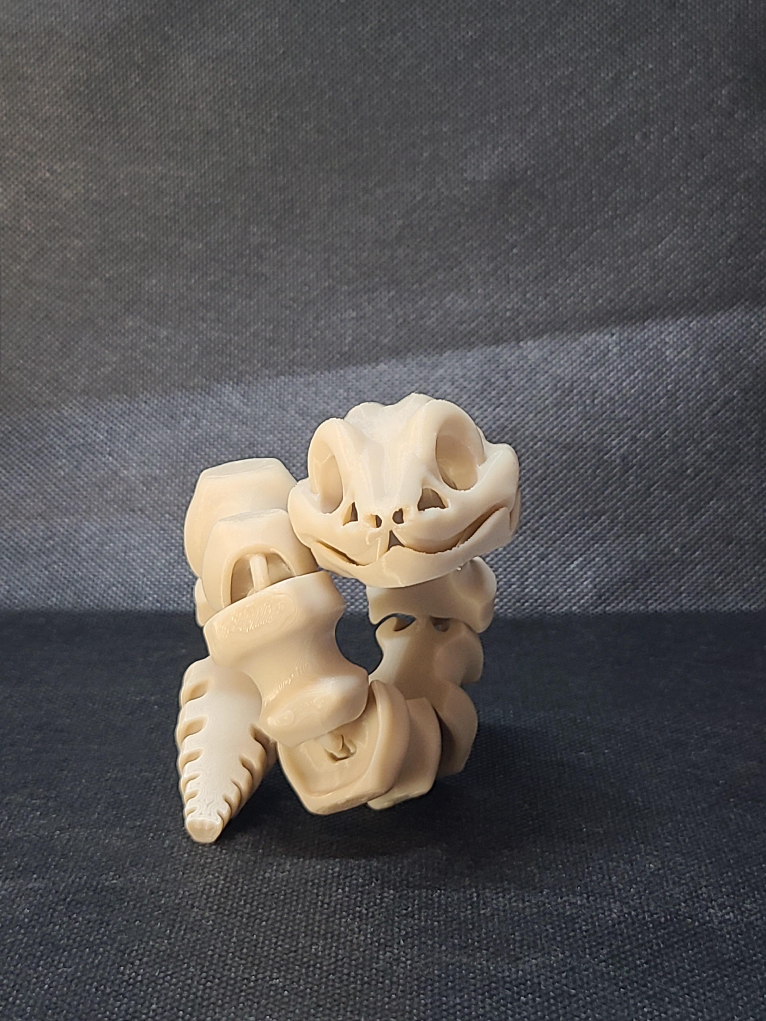 Round-Eyed Bone Snake (Tight) - Articulated Snap-Flex Fidget 3d model