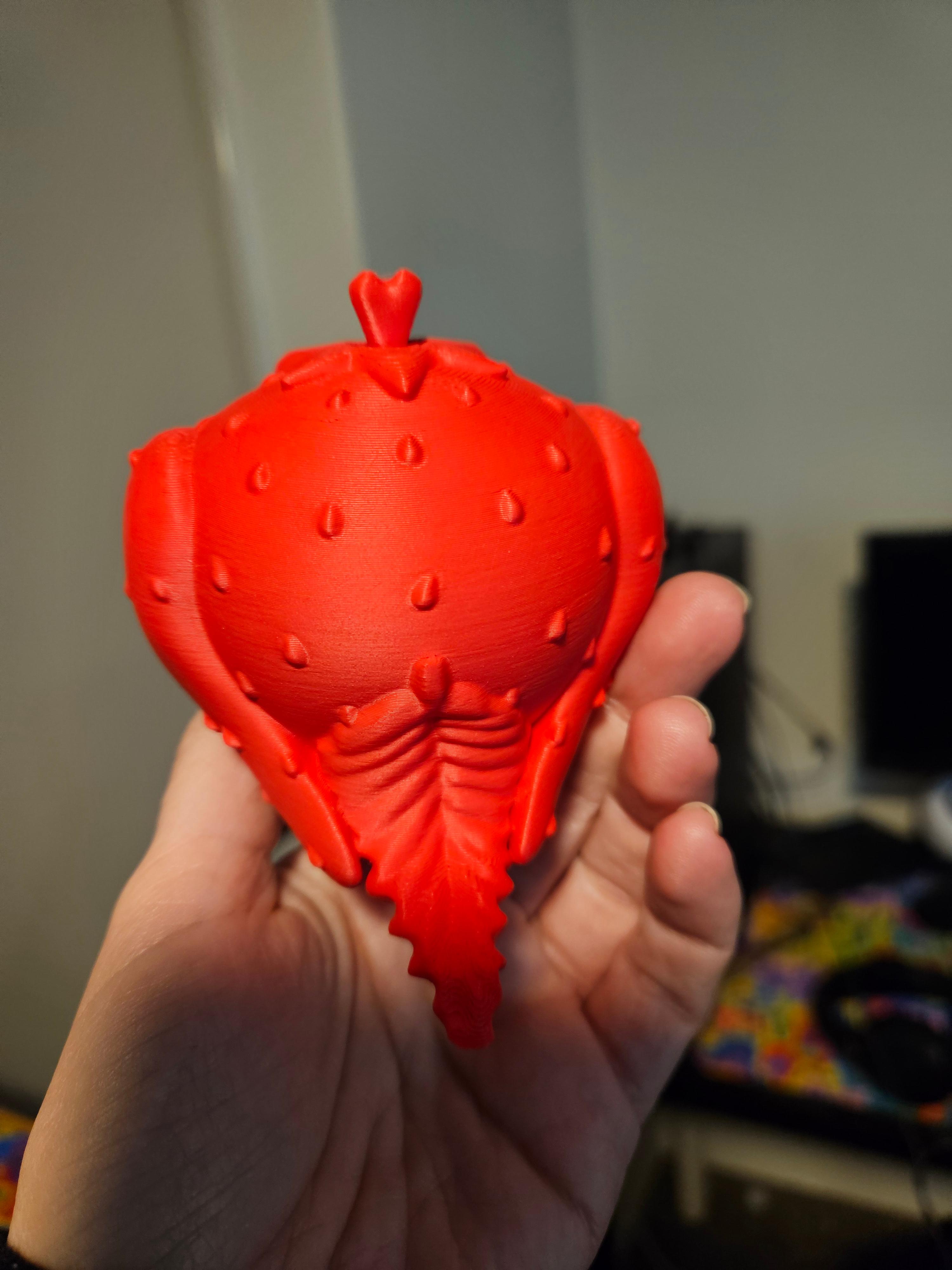 StrOWLberry v2 3d model