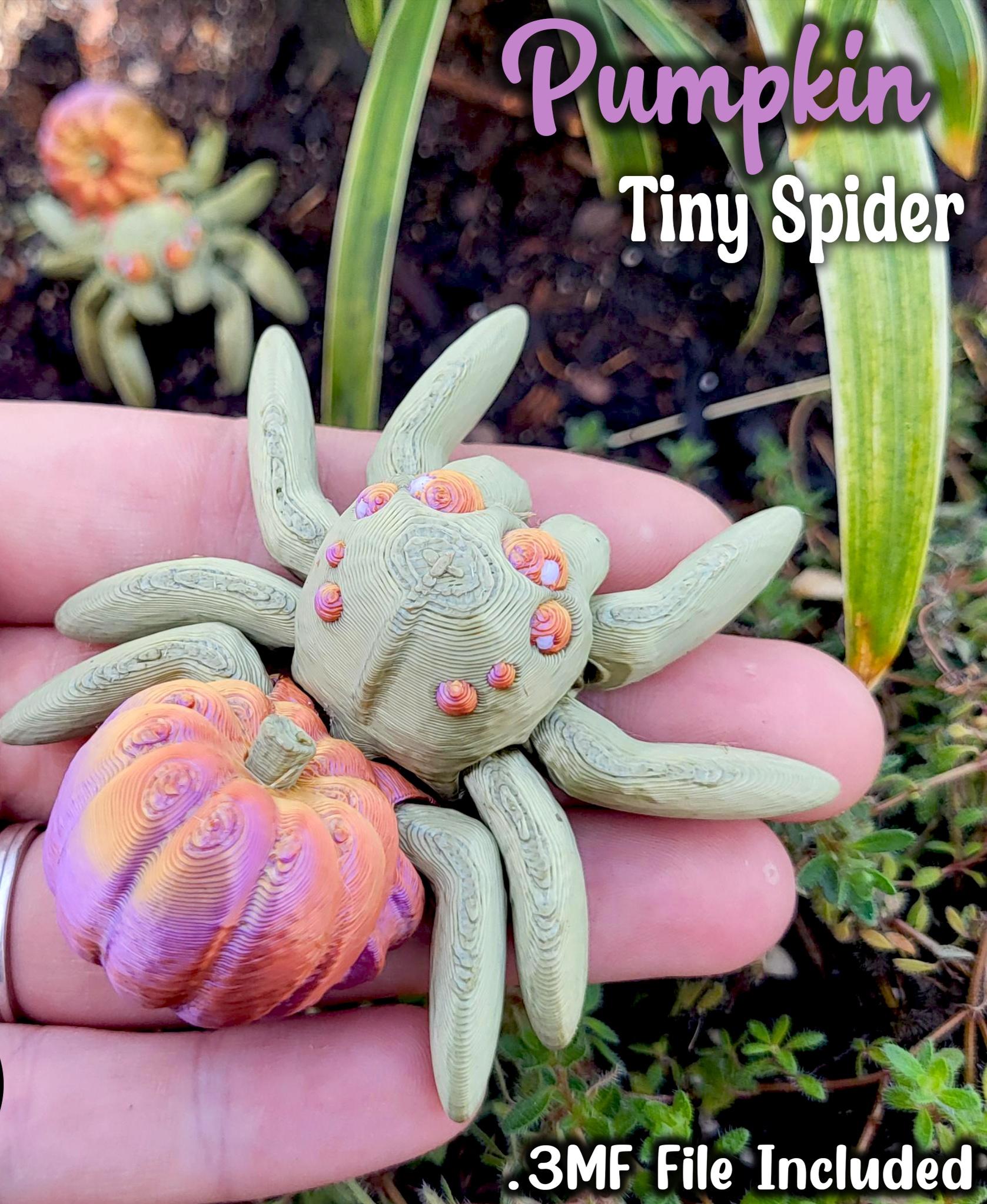 Tiny Pumpkin Spider 3d model