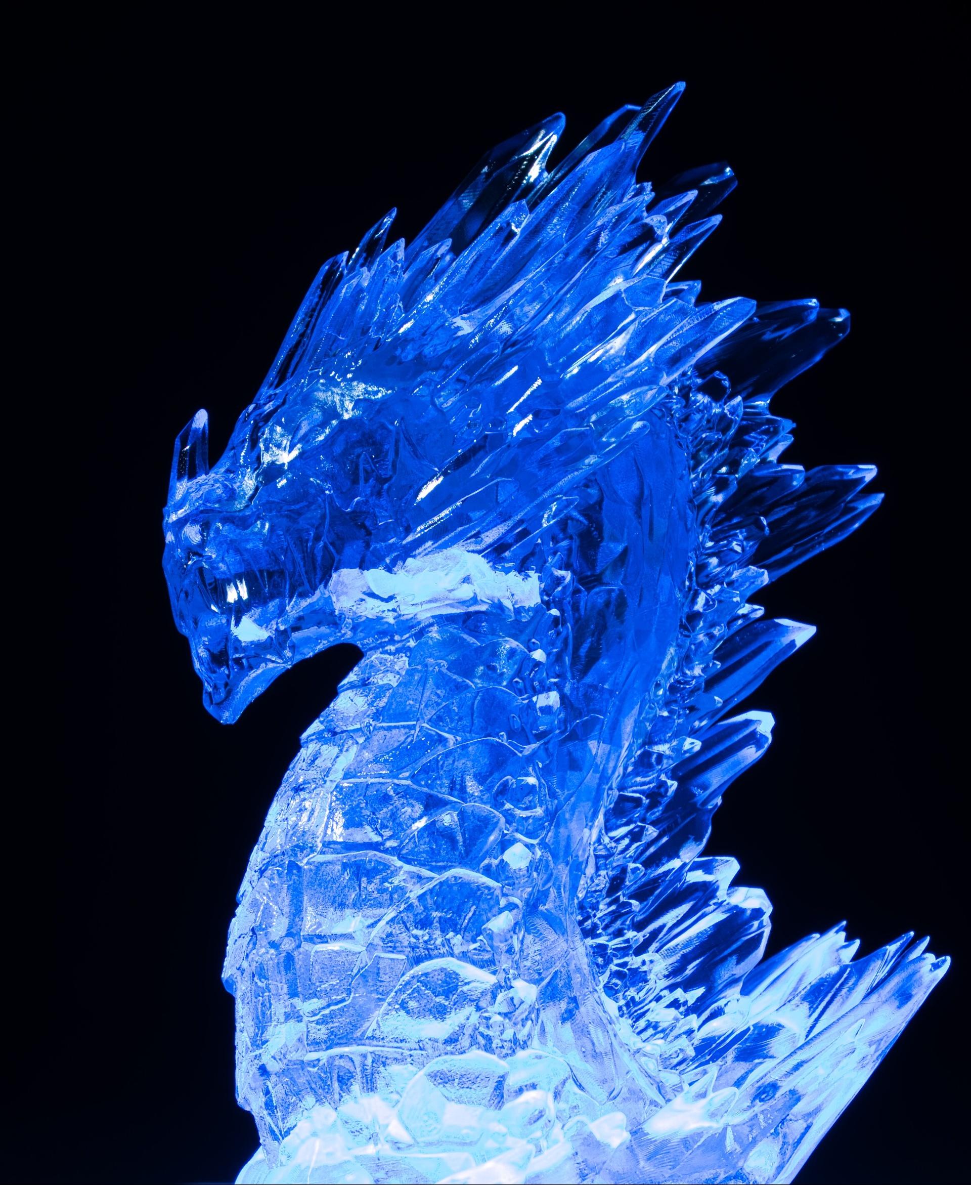 Ice Dragon (Pre - Ice Dragon - Printed with Siraya Tech ultra - clear resin on an Elegoo Saturn - 3d model