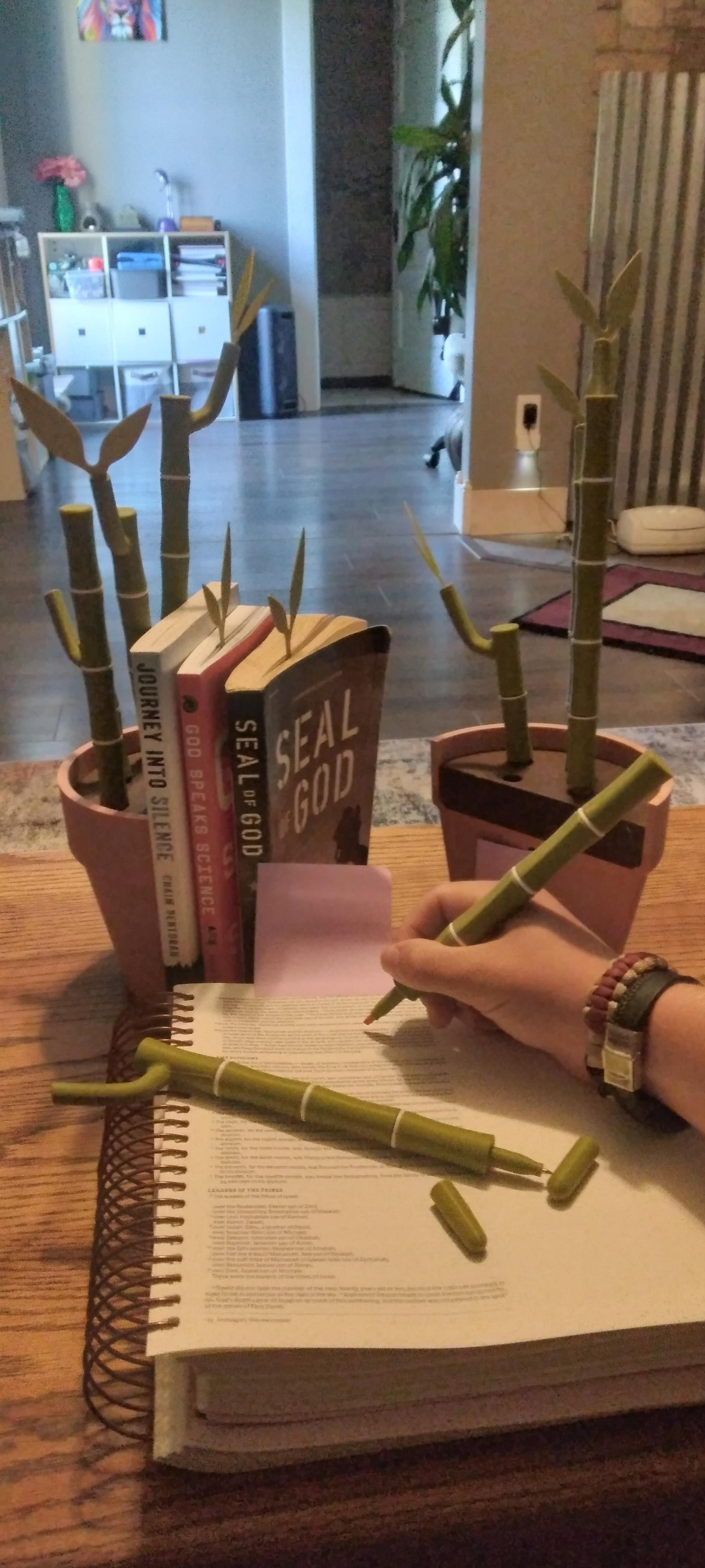 Bambookends - Bamboo Functional Plant with Pens, Highlighters, Post it note dispenser, and Bookmarks - During my Bible study - 3d model