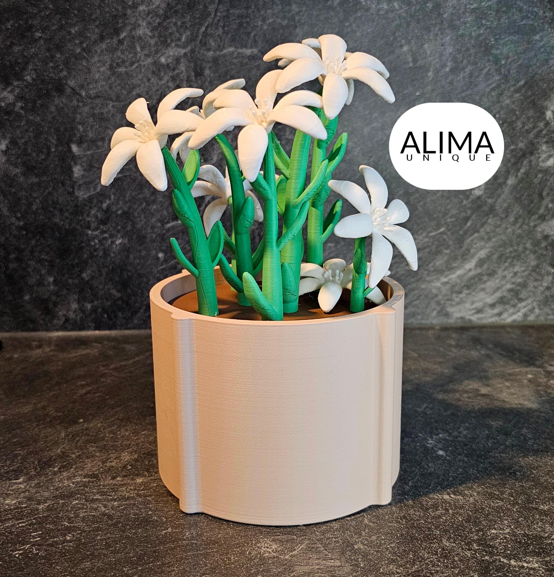 Charming lily plant for the office or home 3d model