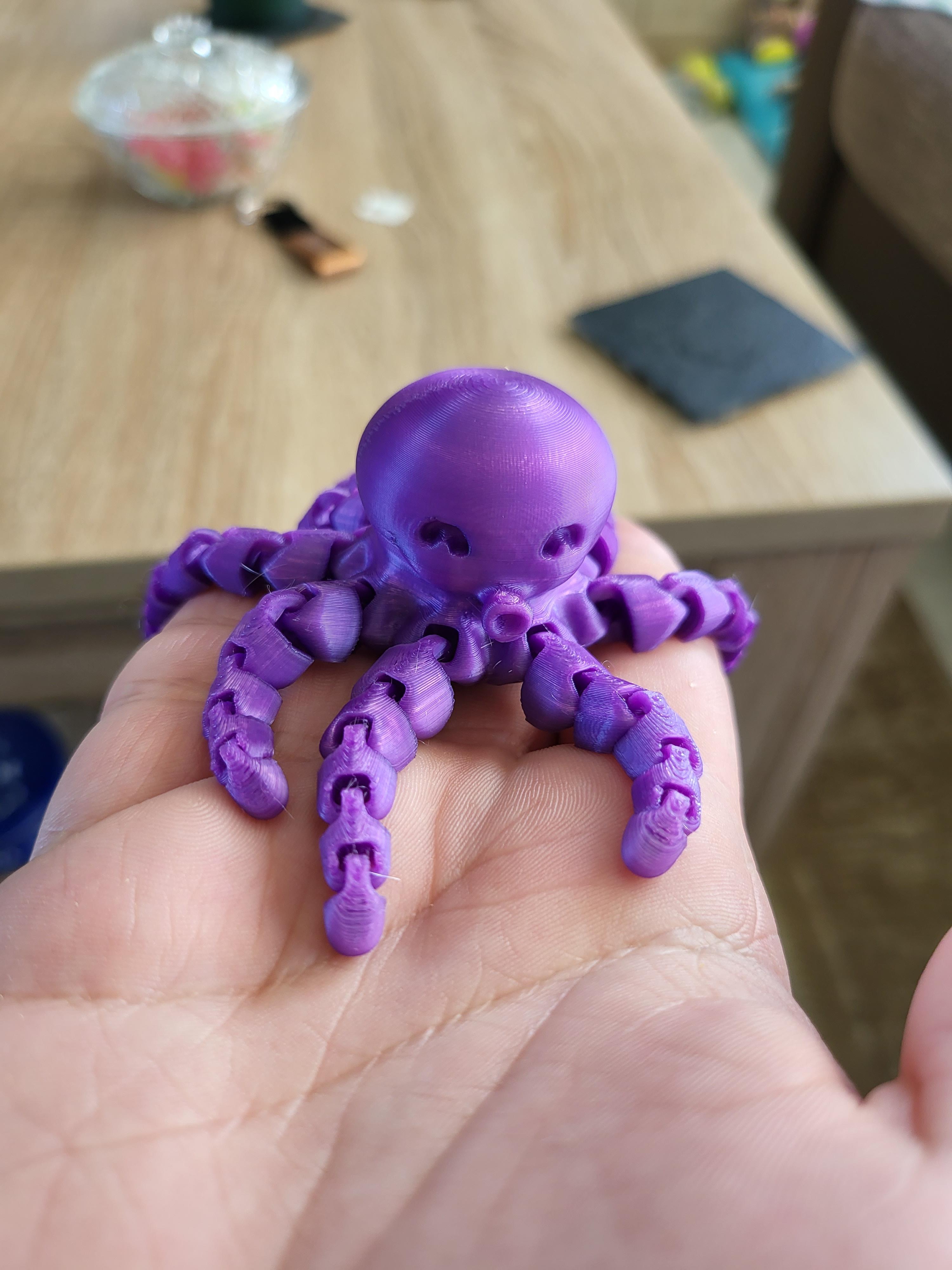 Cute Mini Octopus 3d model