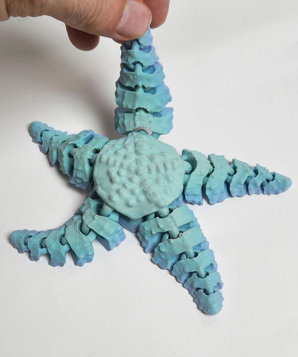 Articulated Star 3d model