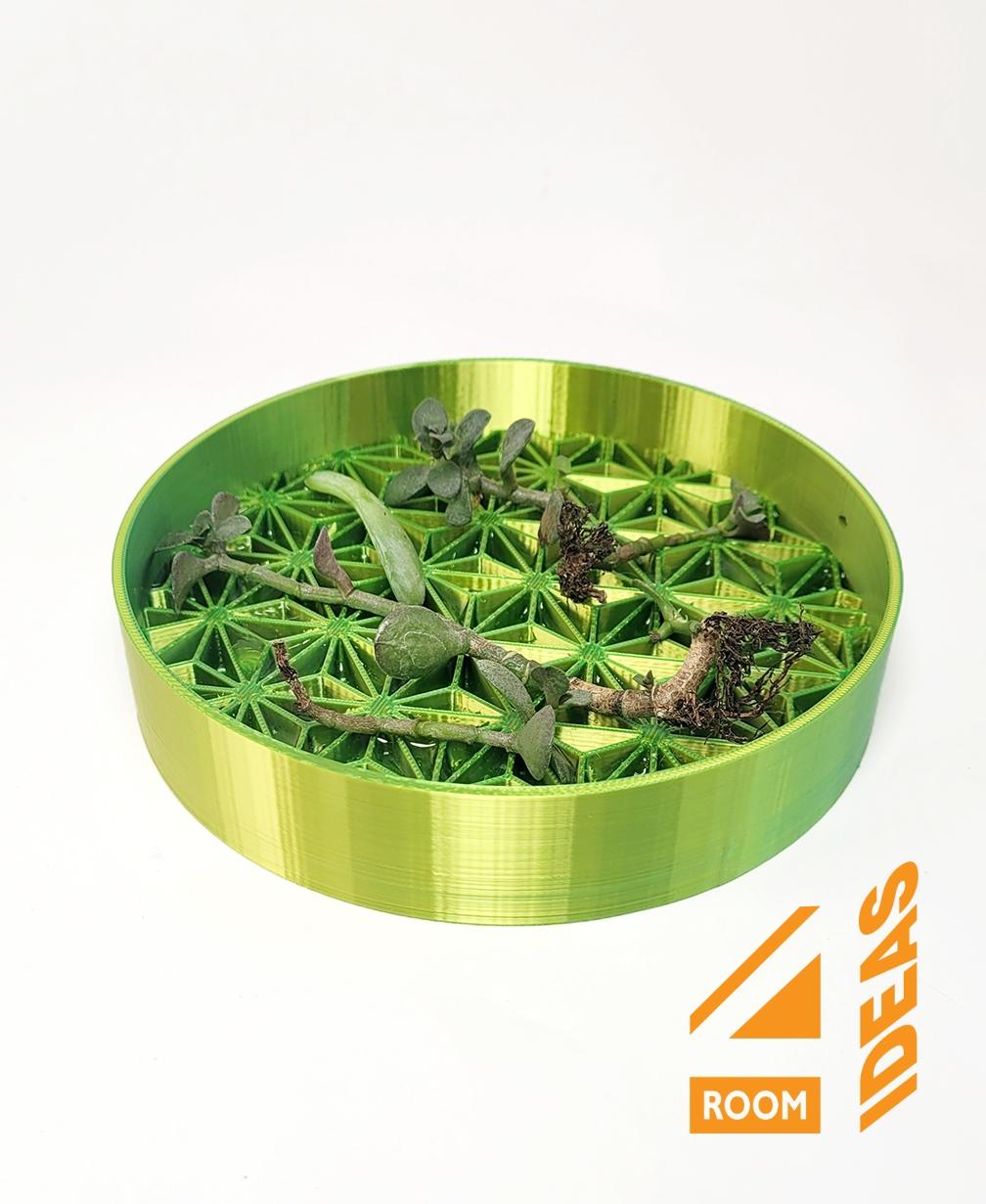 Succulent Propagation Tray - Asanoha 3d model