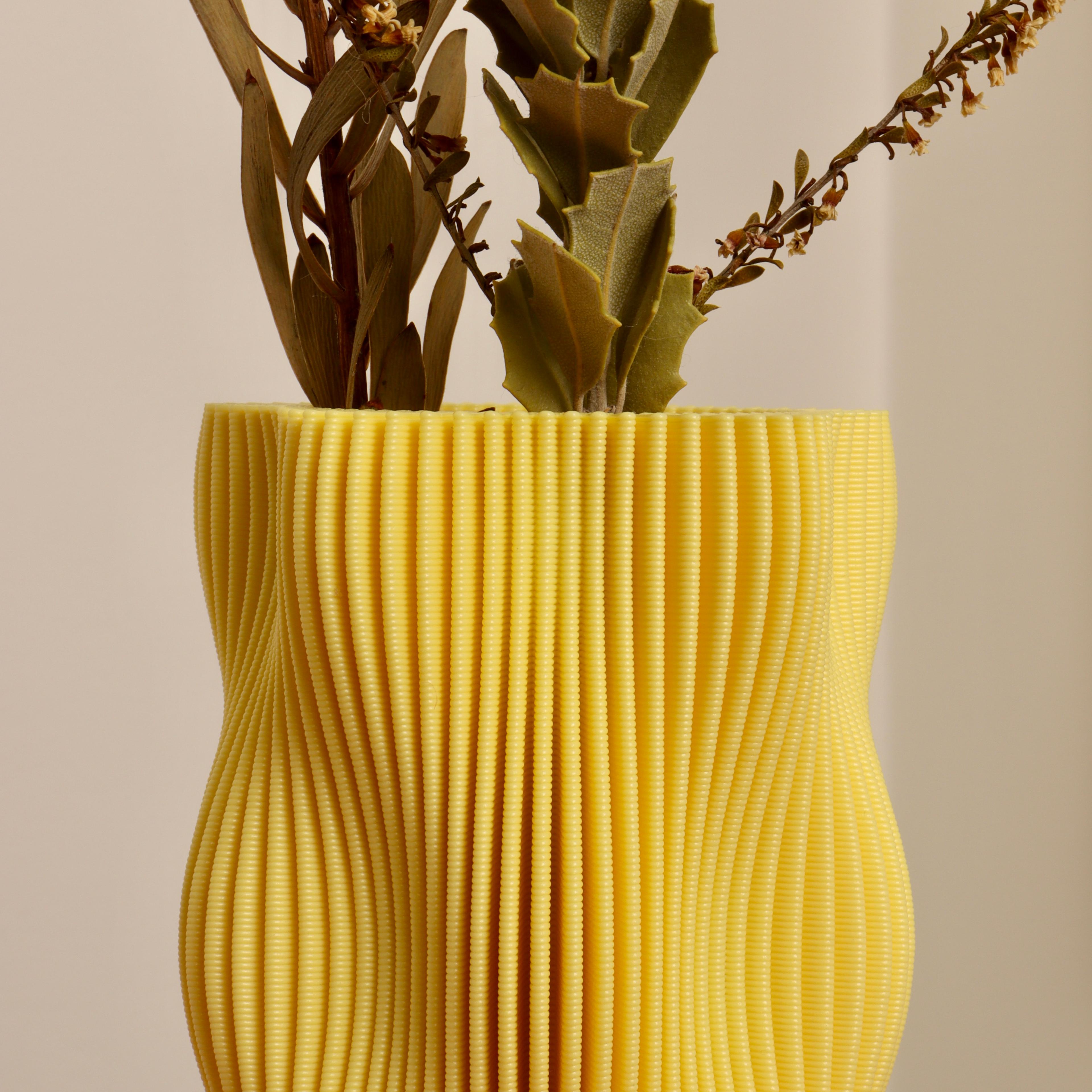 Wavy Vase 3d model